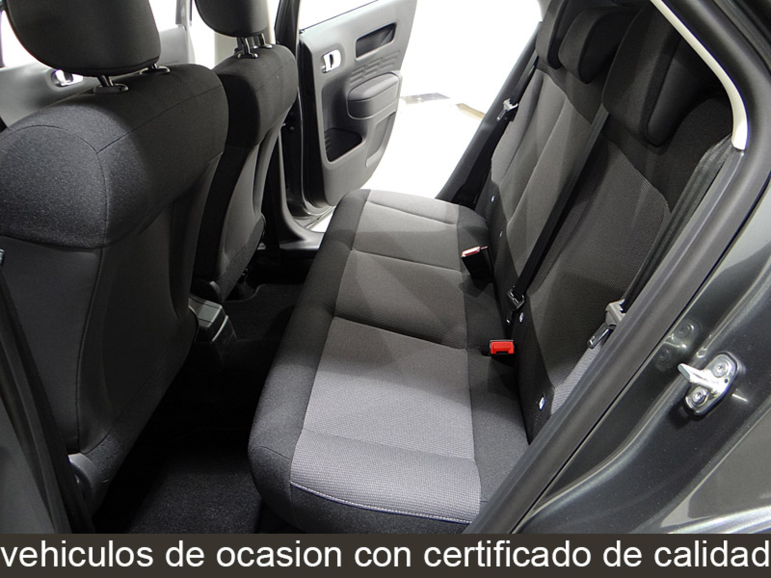 Foto Citroen C4 Cactus 27