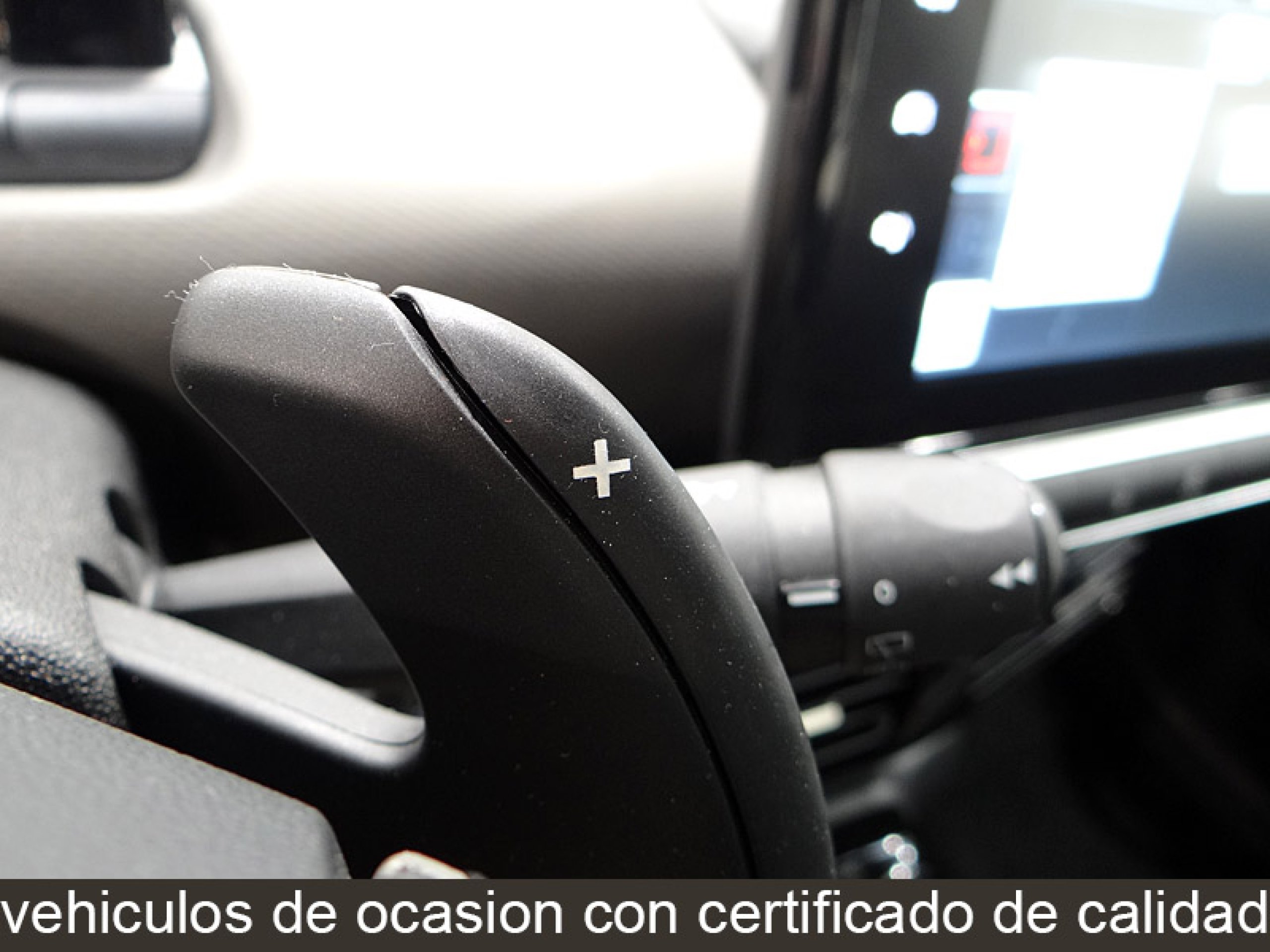 Foto Citroen C4 Cactus 32