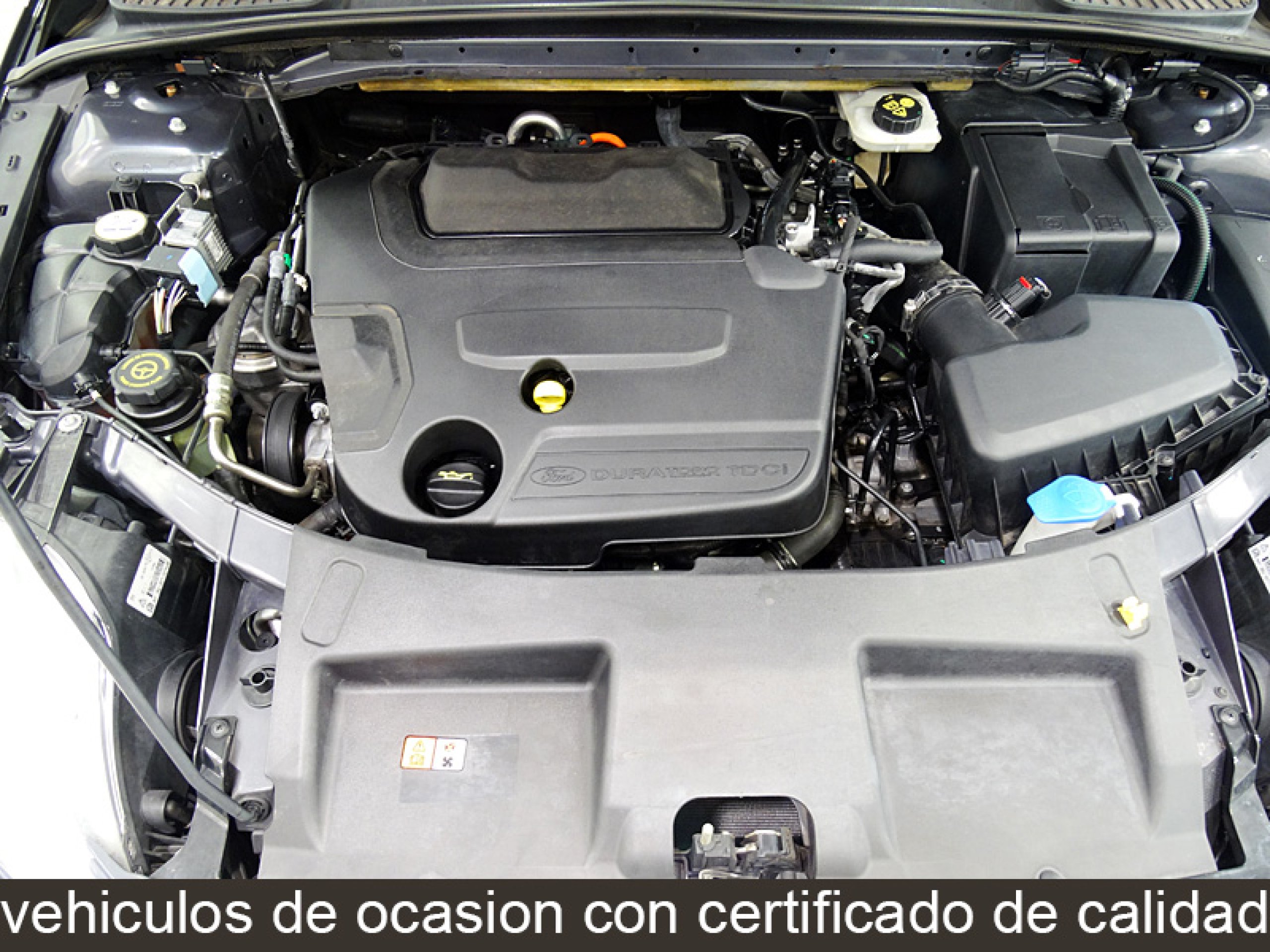 Foto Ford Mondeo 11