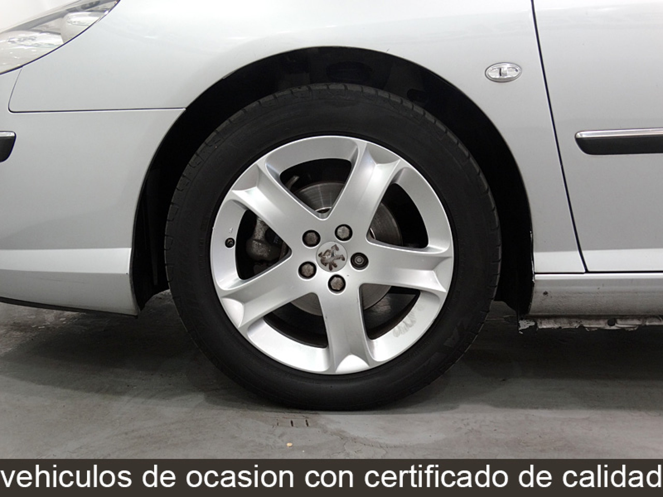 Foto Peugeot 407 28