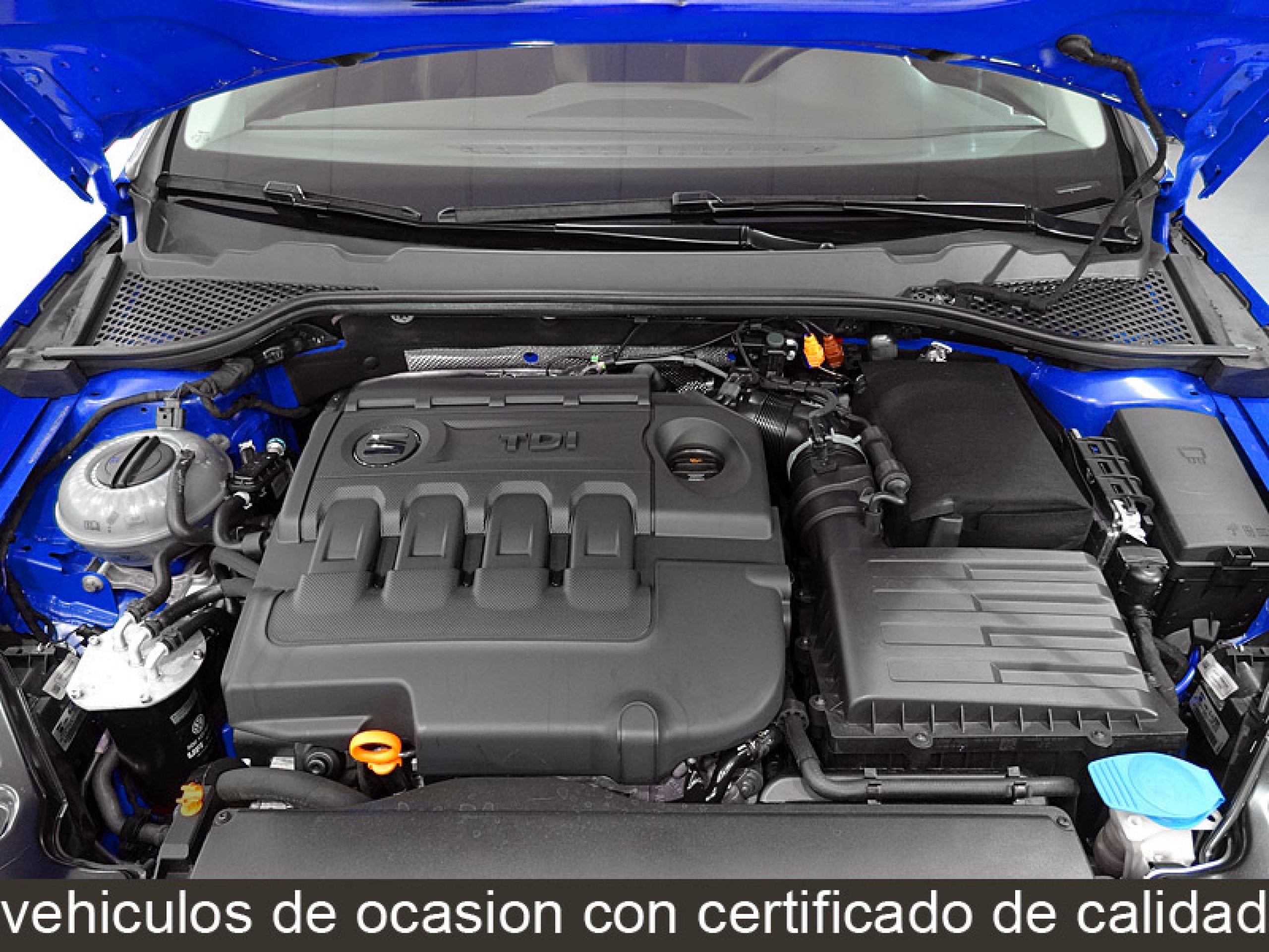 Foto Seat Leon 34
