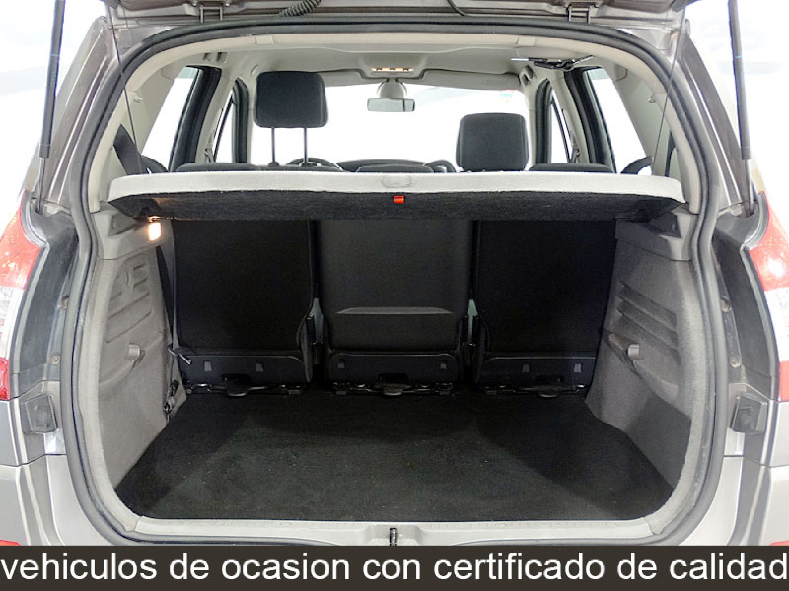 Foto Renault Scenic 17