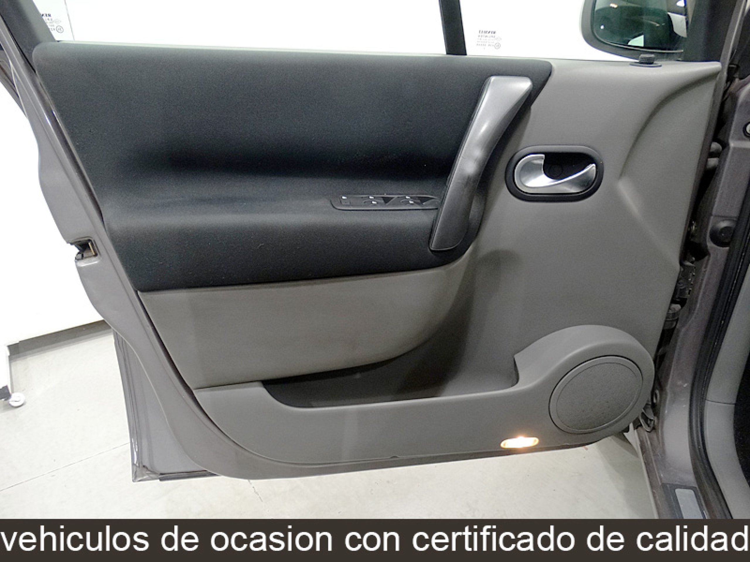 Foto Renault Scenic 22