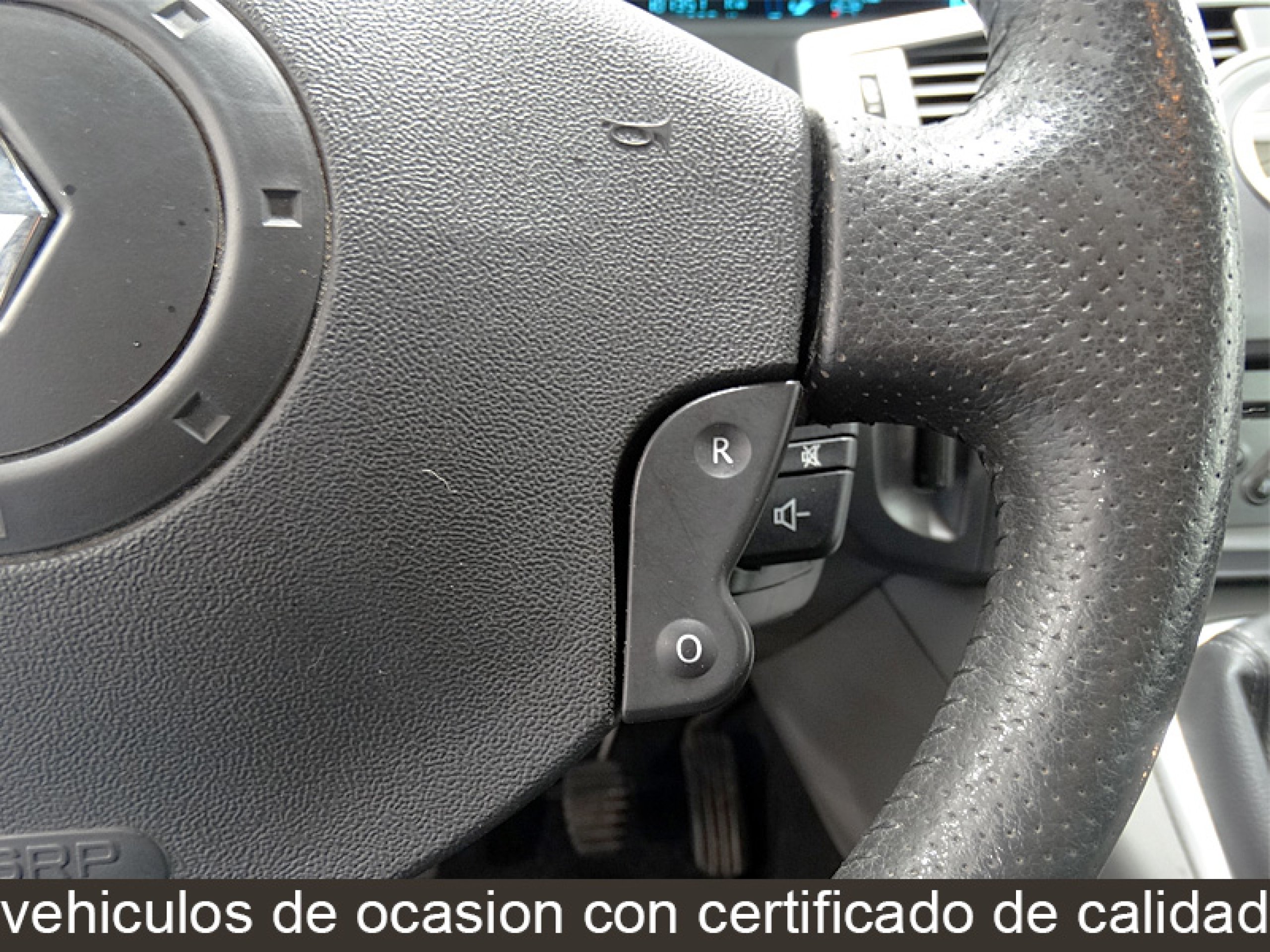 Foto Renault Scenic 33