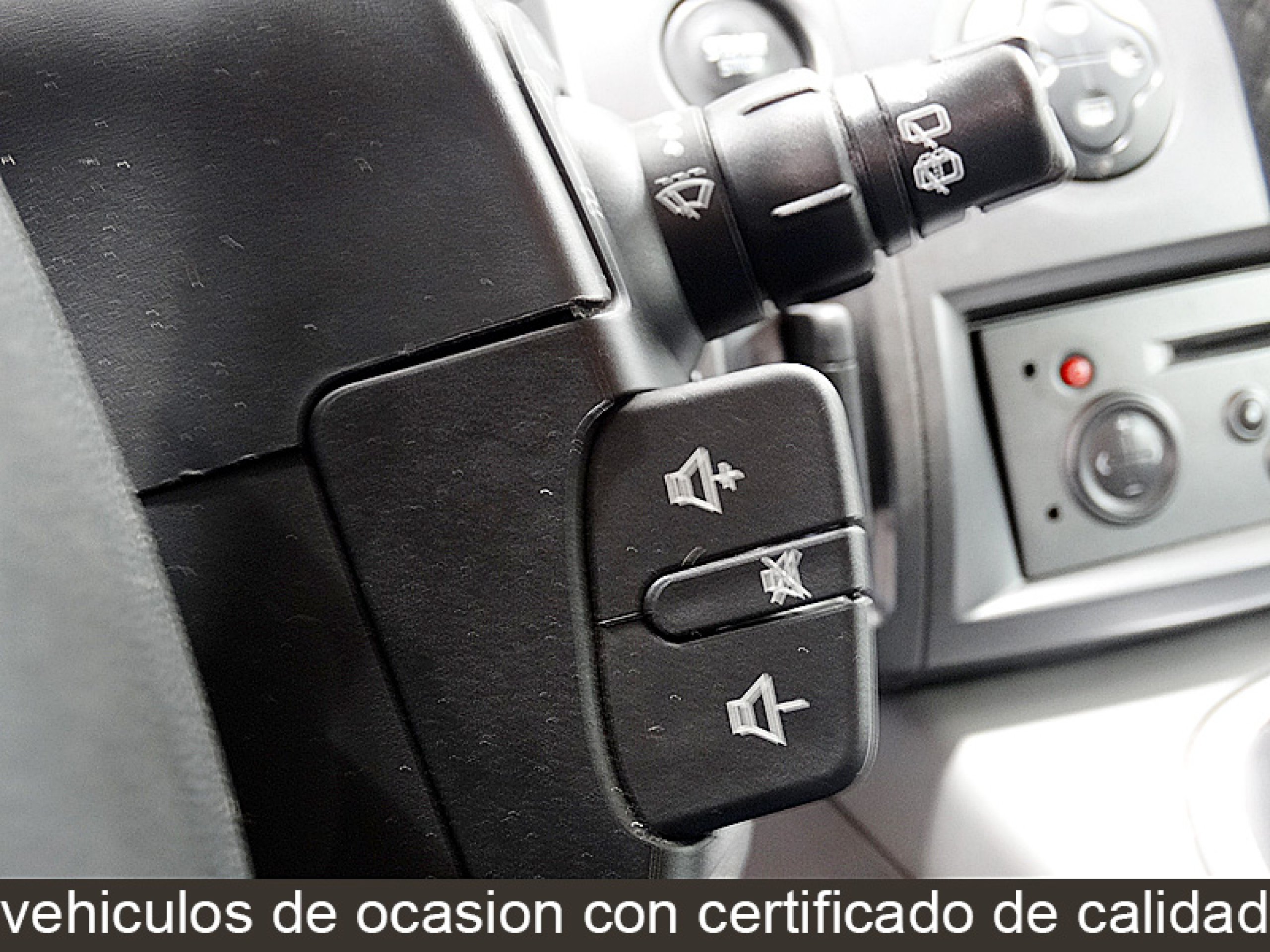 Foto Renault Scenic 35