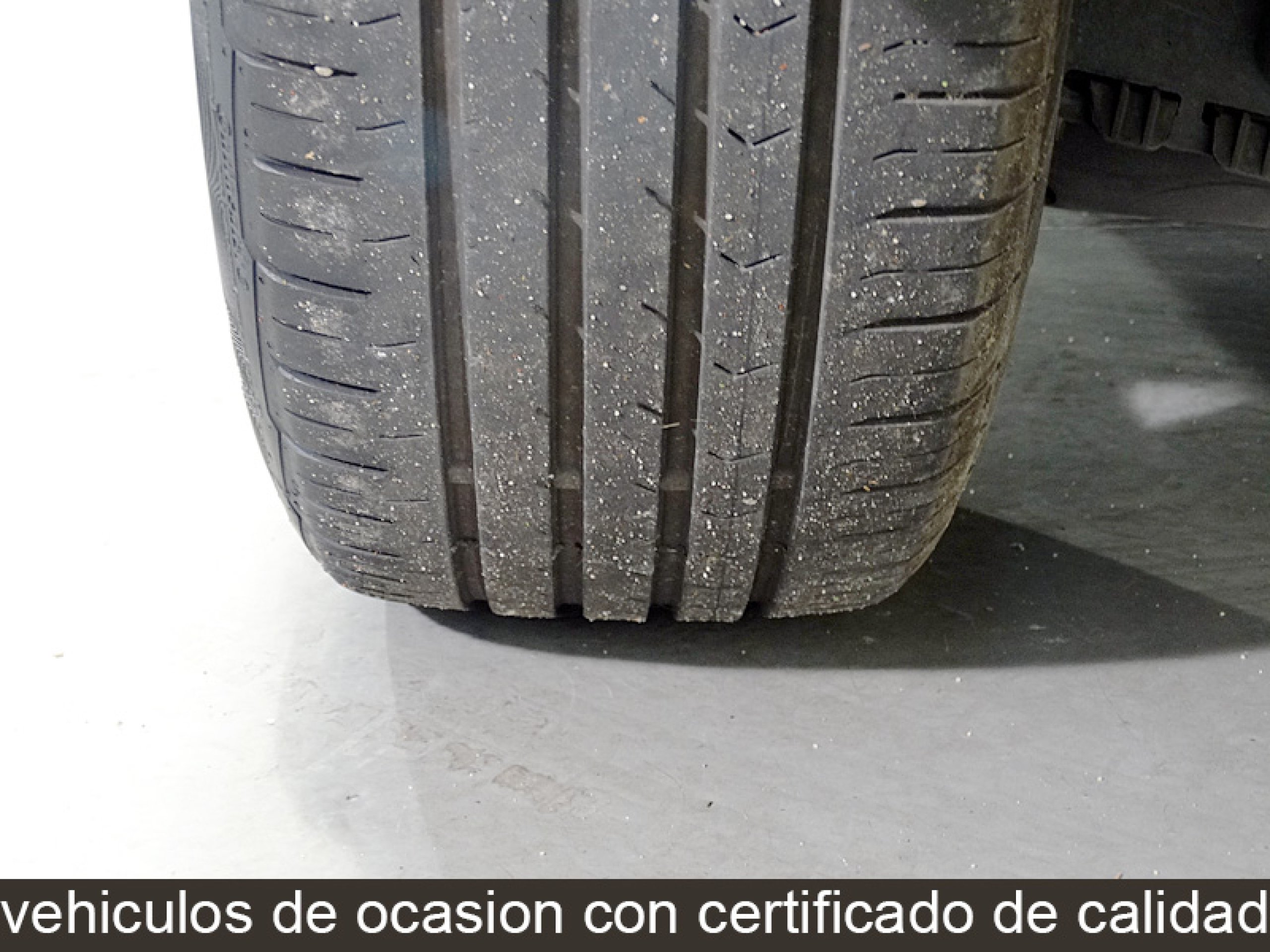 Foto Renault Scenic 41
