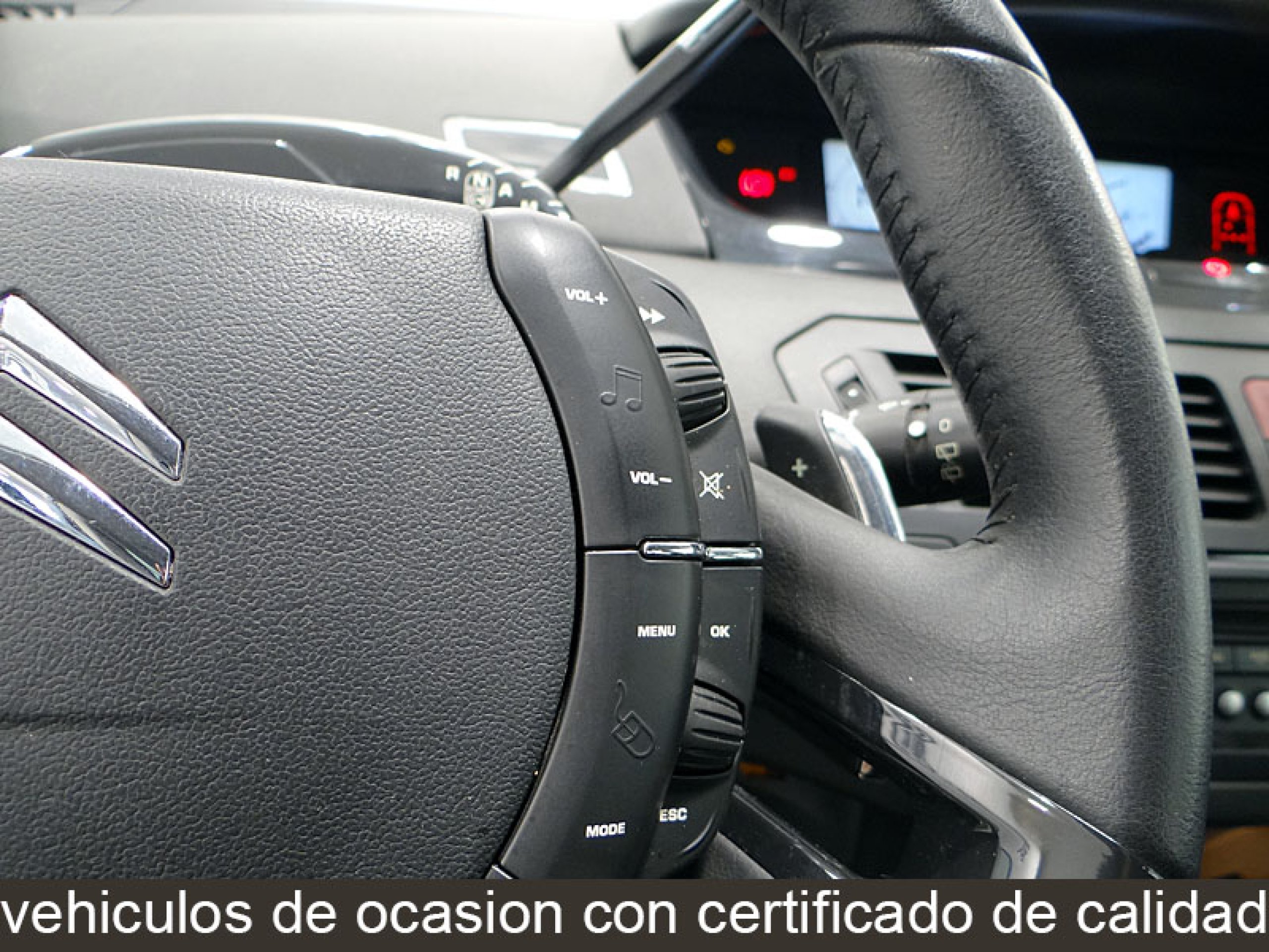 Foto Citroen C4 Picasso 39