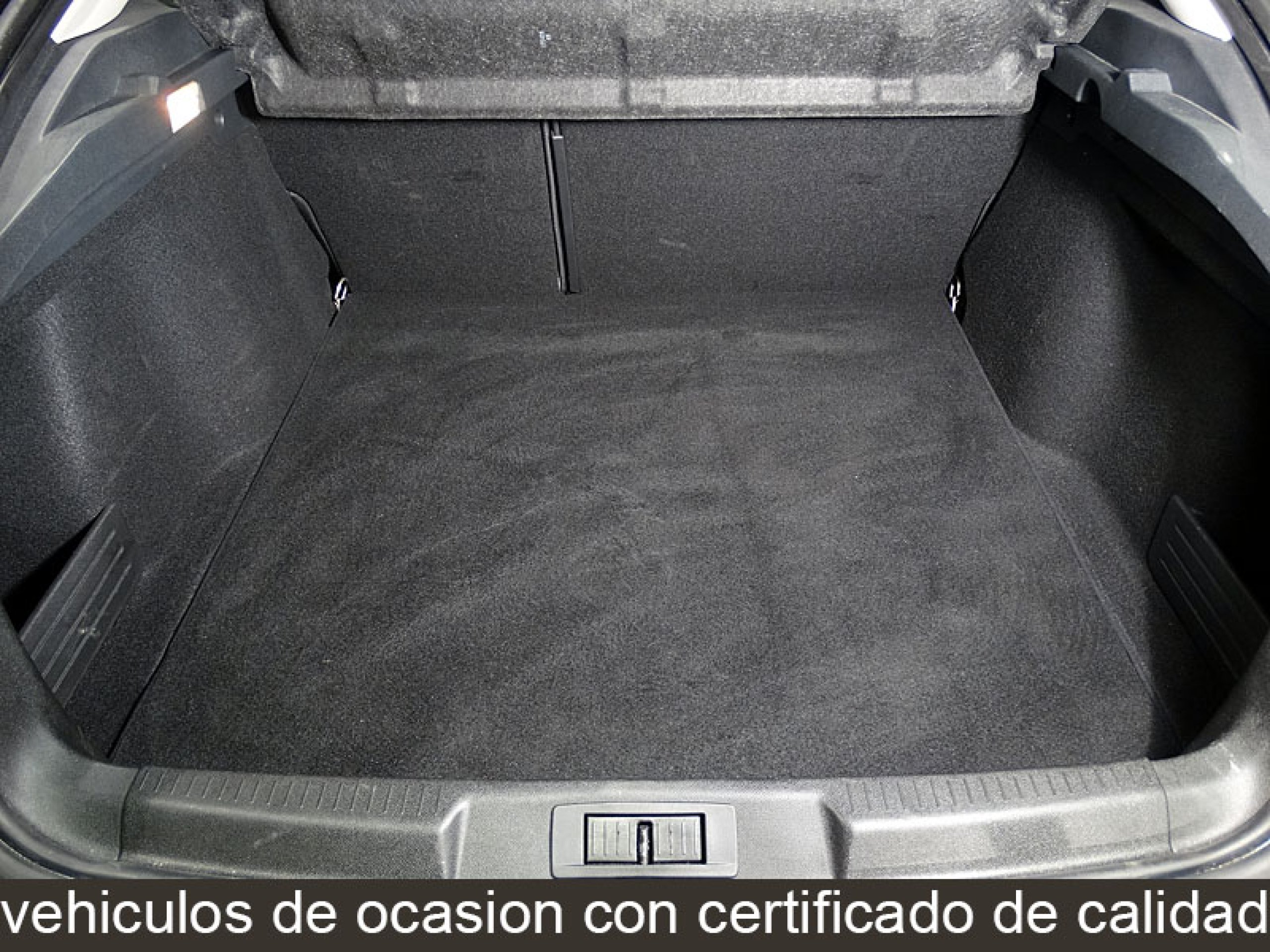Foto Renault Laguna 12