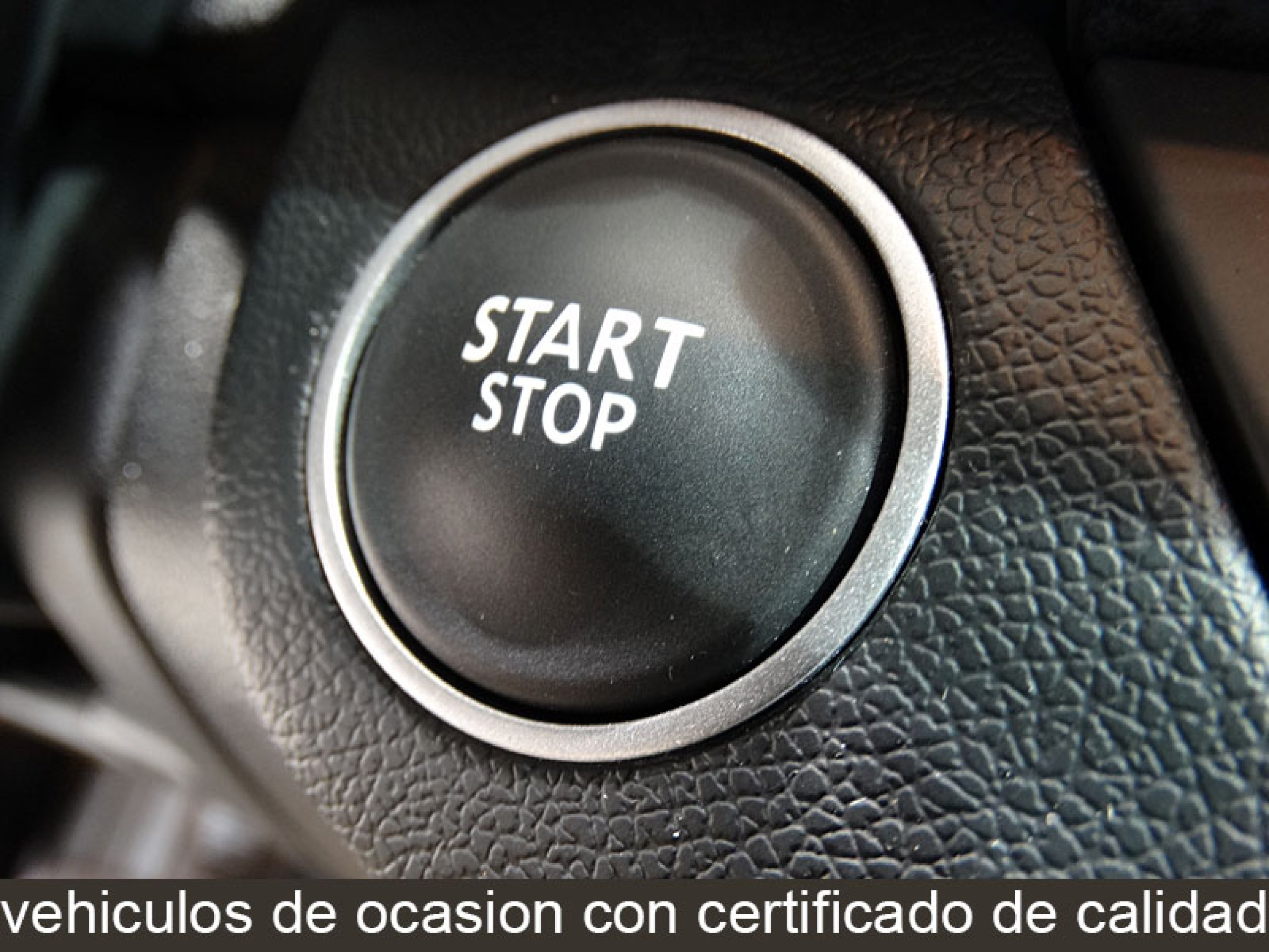 Foto Renault Laguna 31