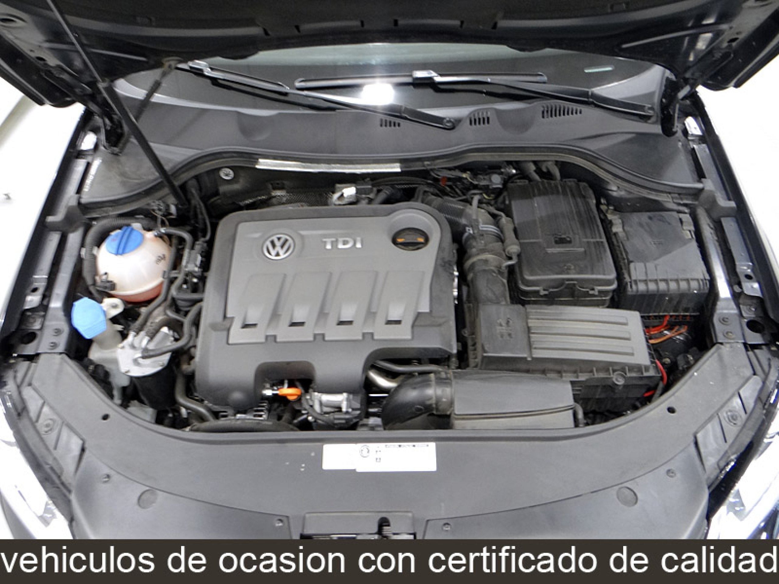 Foto Volkswagen Passat 19