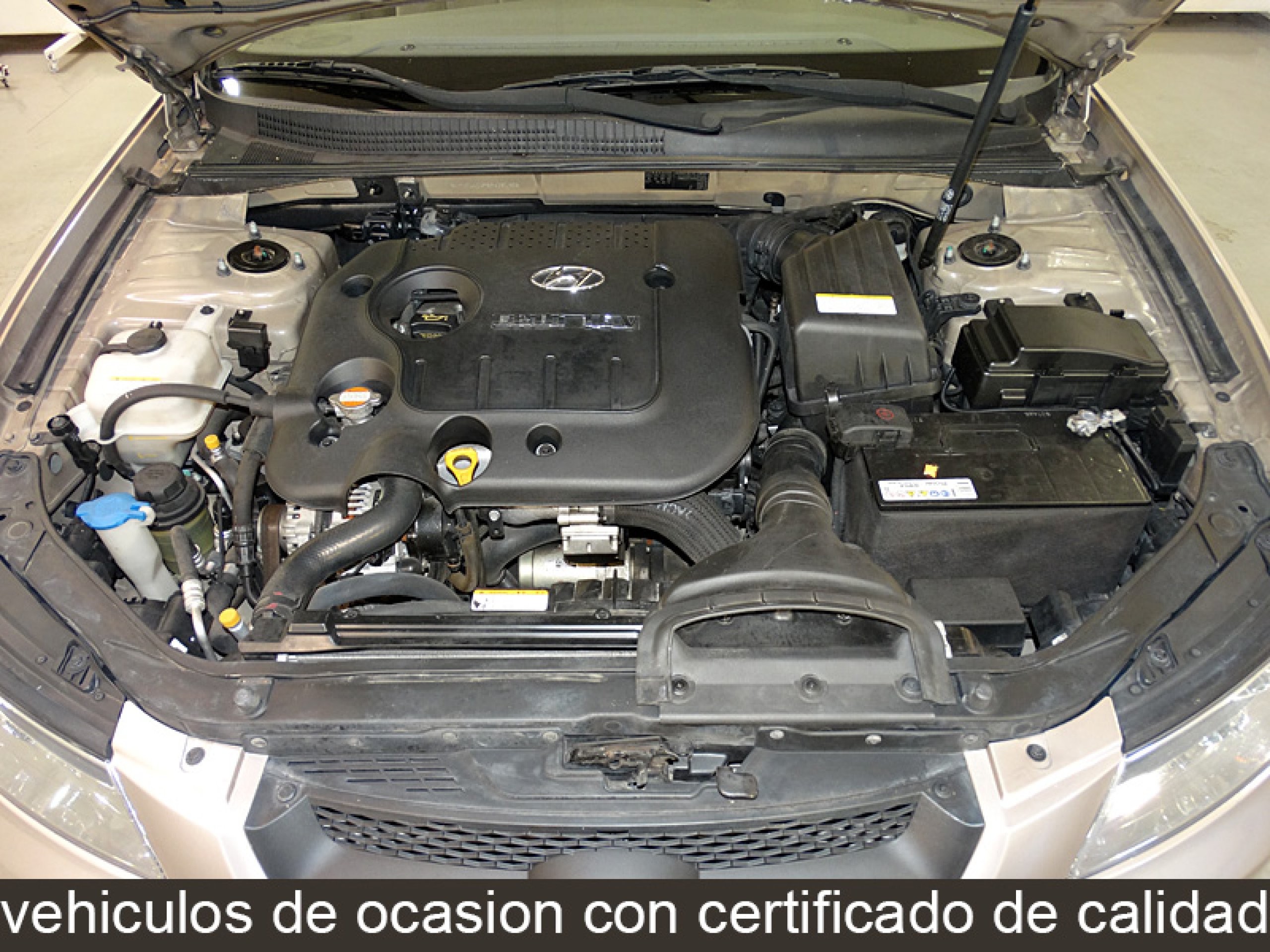 Foto Hyundai Sonata 8 Foto Hyundai Sonata 8