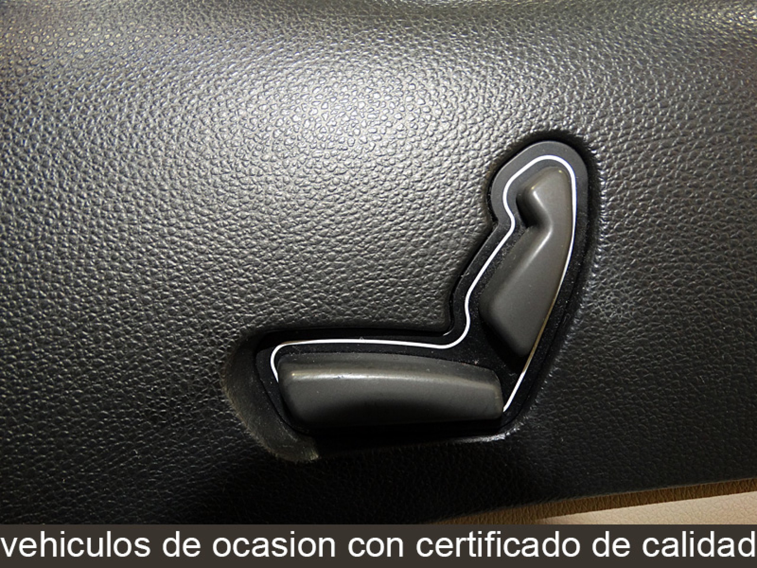 Foto Kia Carnival 19
