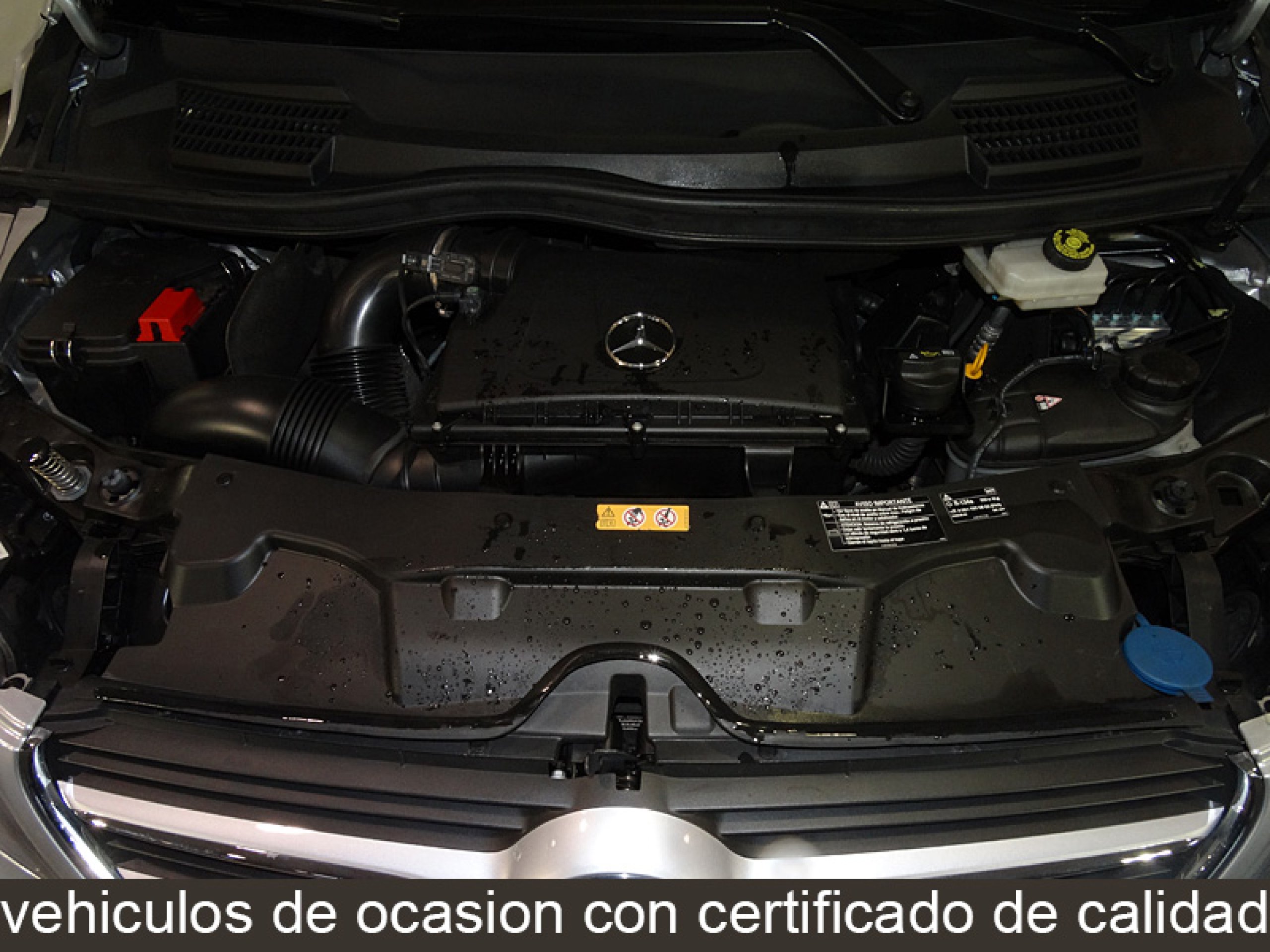 Foto Mercedes-Benz V 220 8