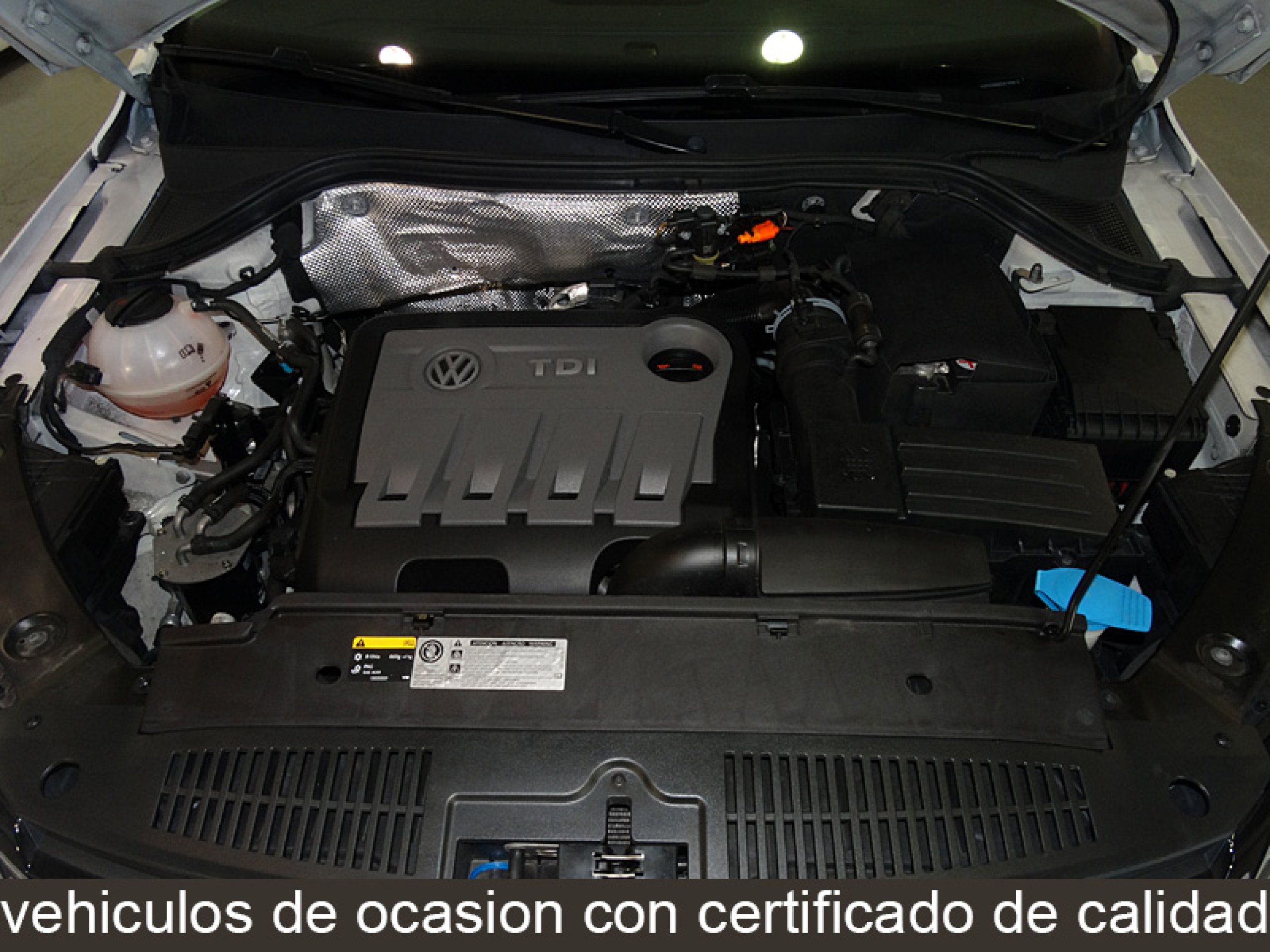 Foto Volkswagen Tiguan 9