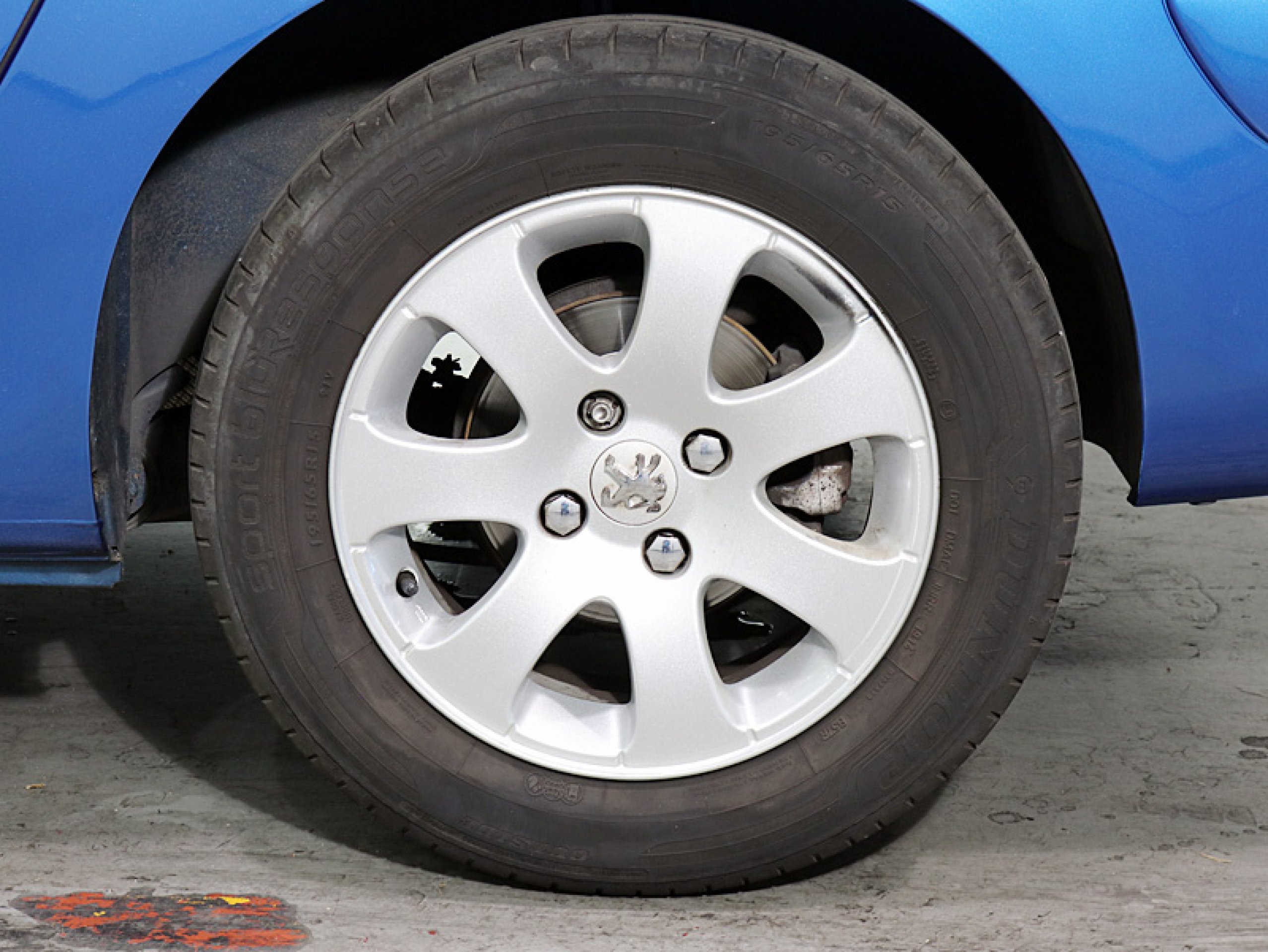 Foto Peugeot 307 25