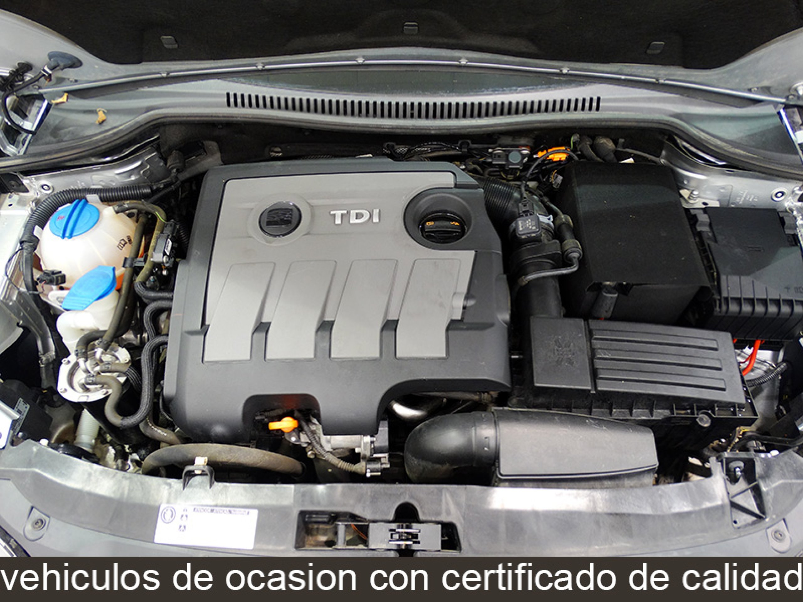 Foto Seat Leon 15