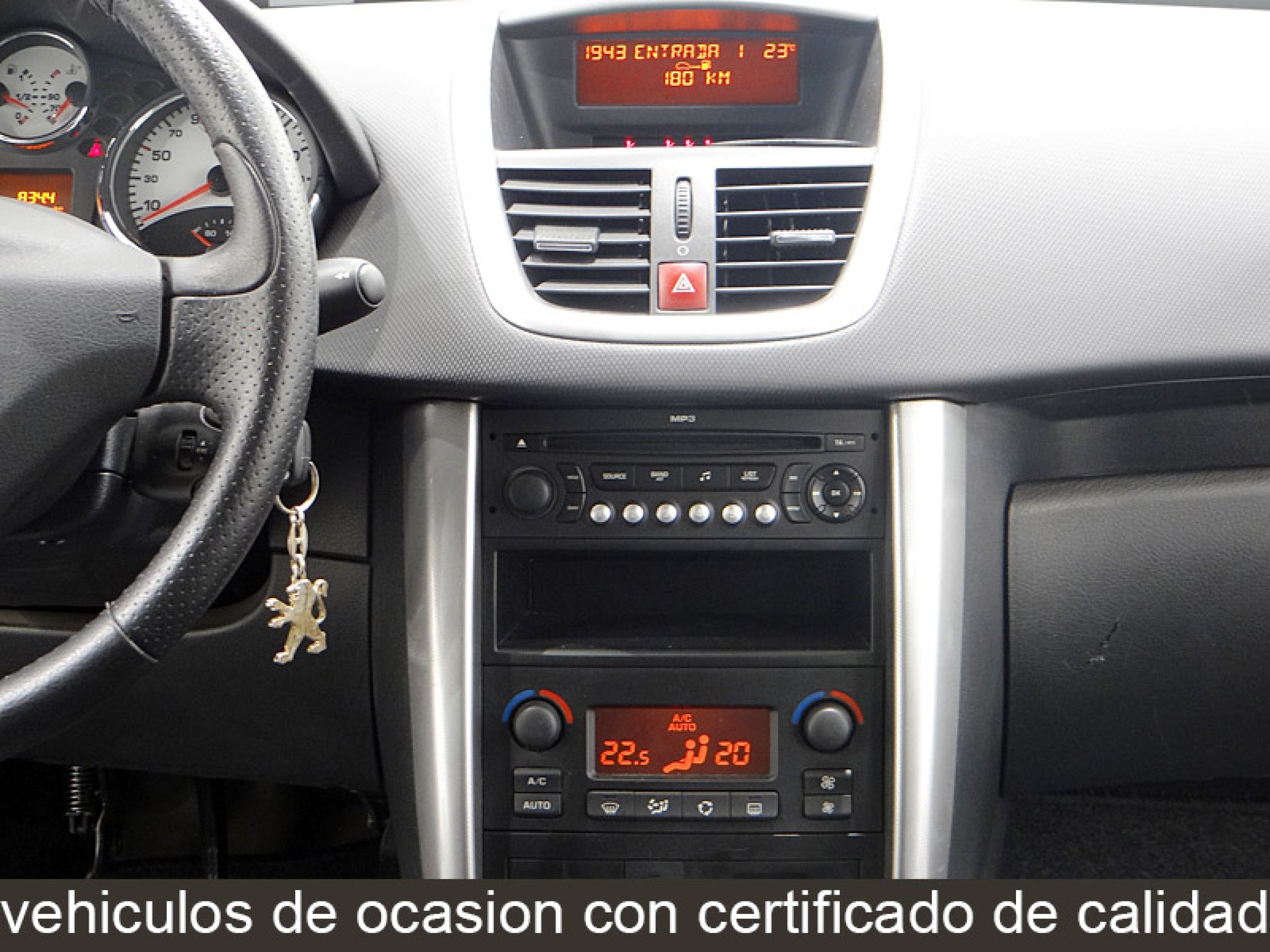 Foto Peugeot 207 25