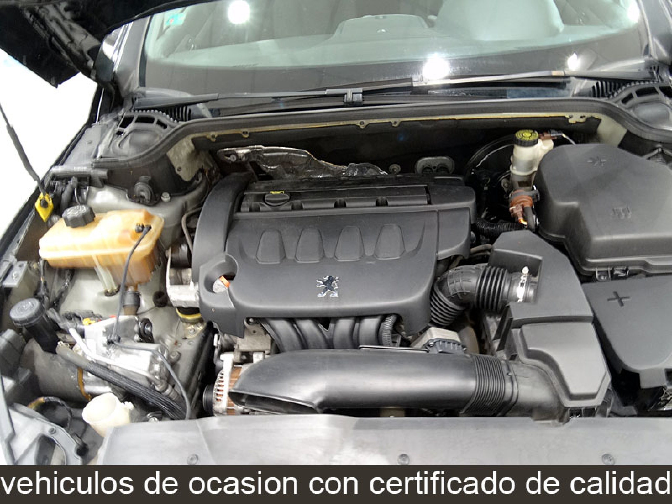 Foto Peugeot 407 8