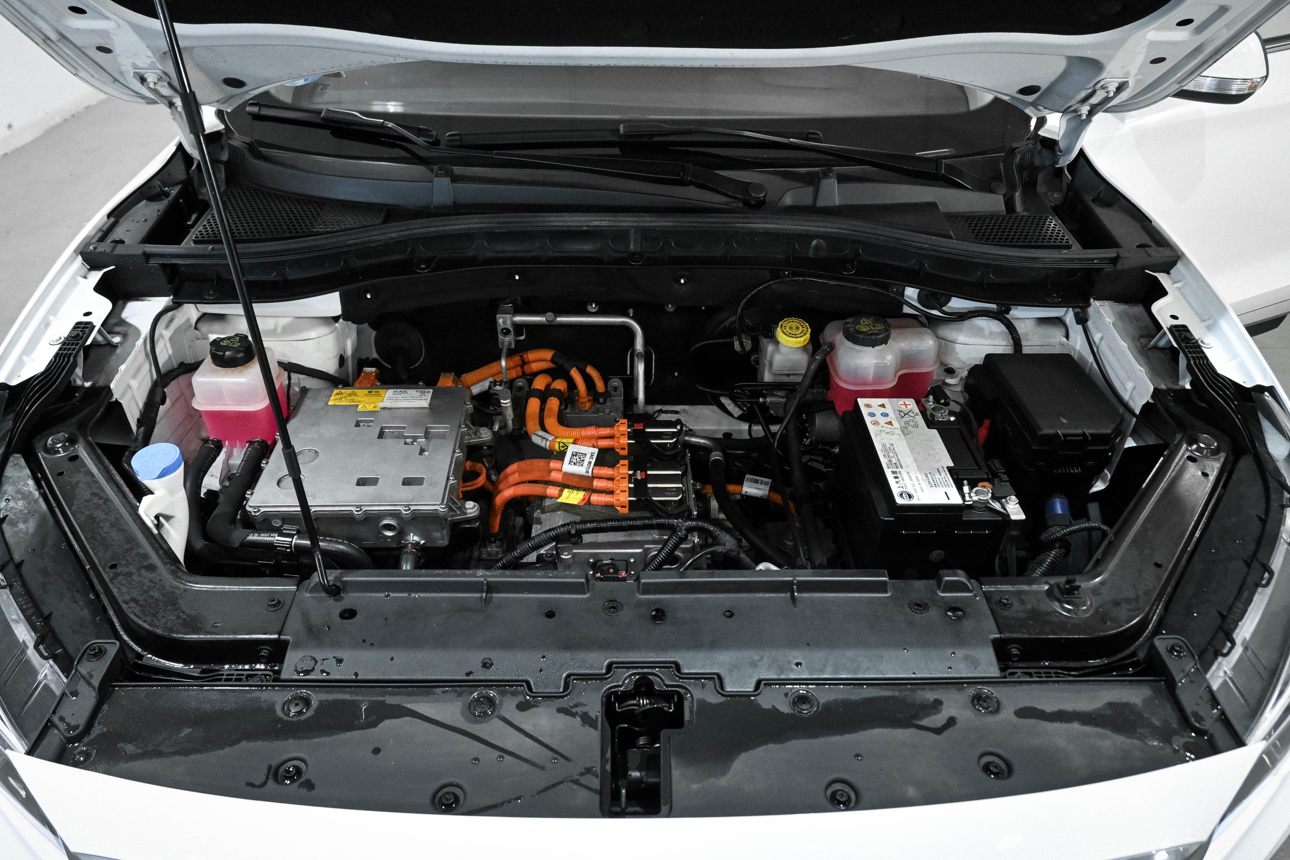 Foto MG ZS EV  8