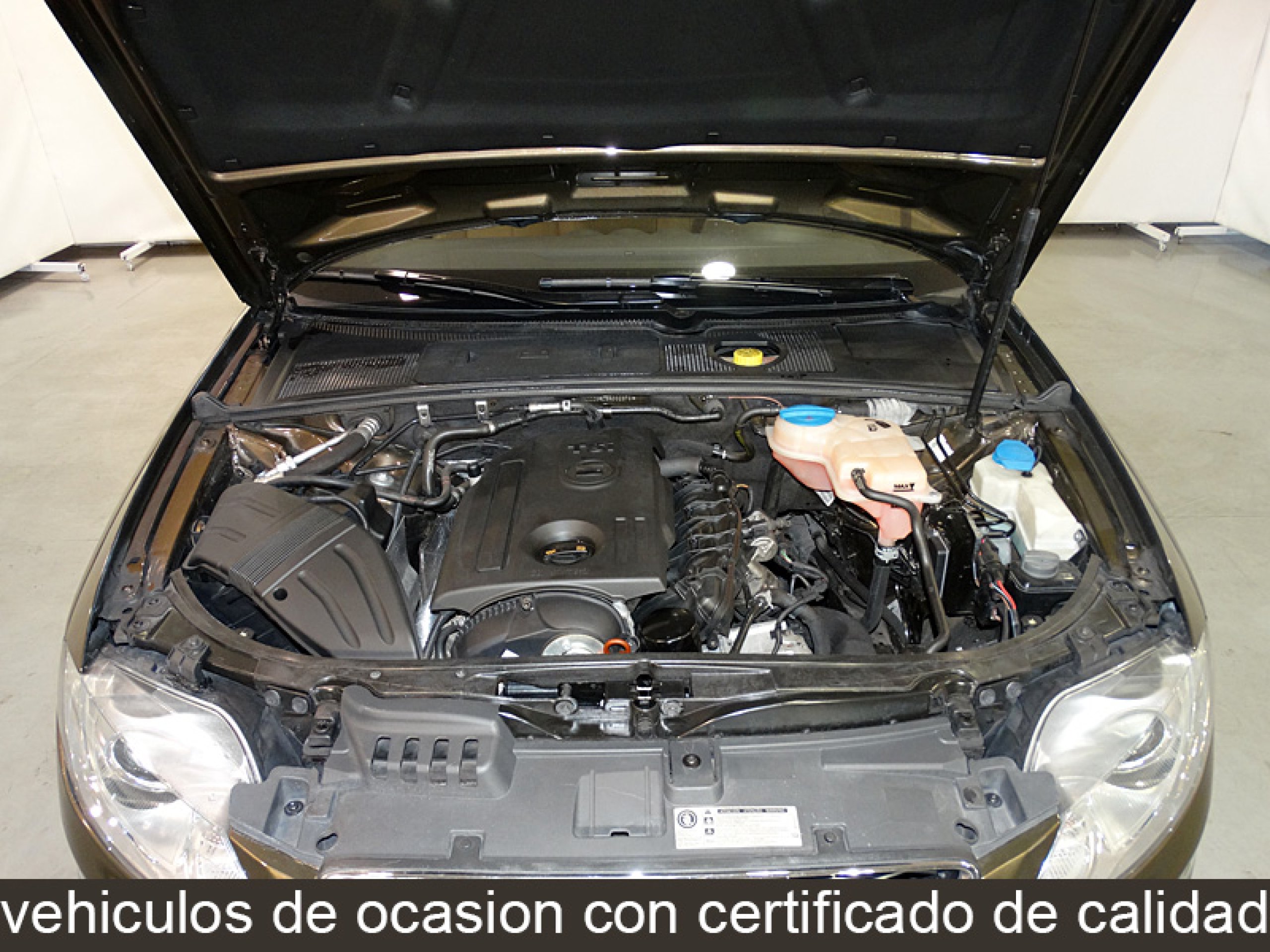 Foto Seat Exeo 8
