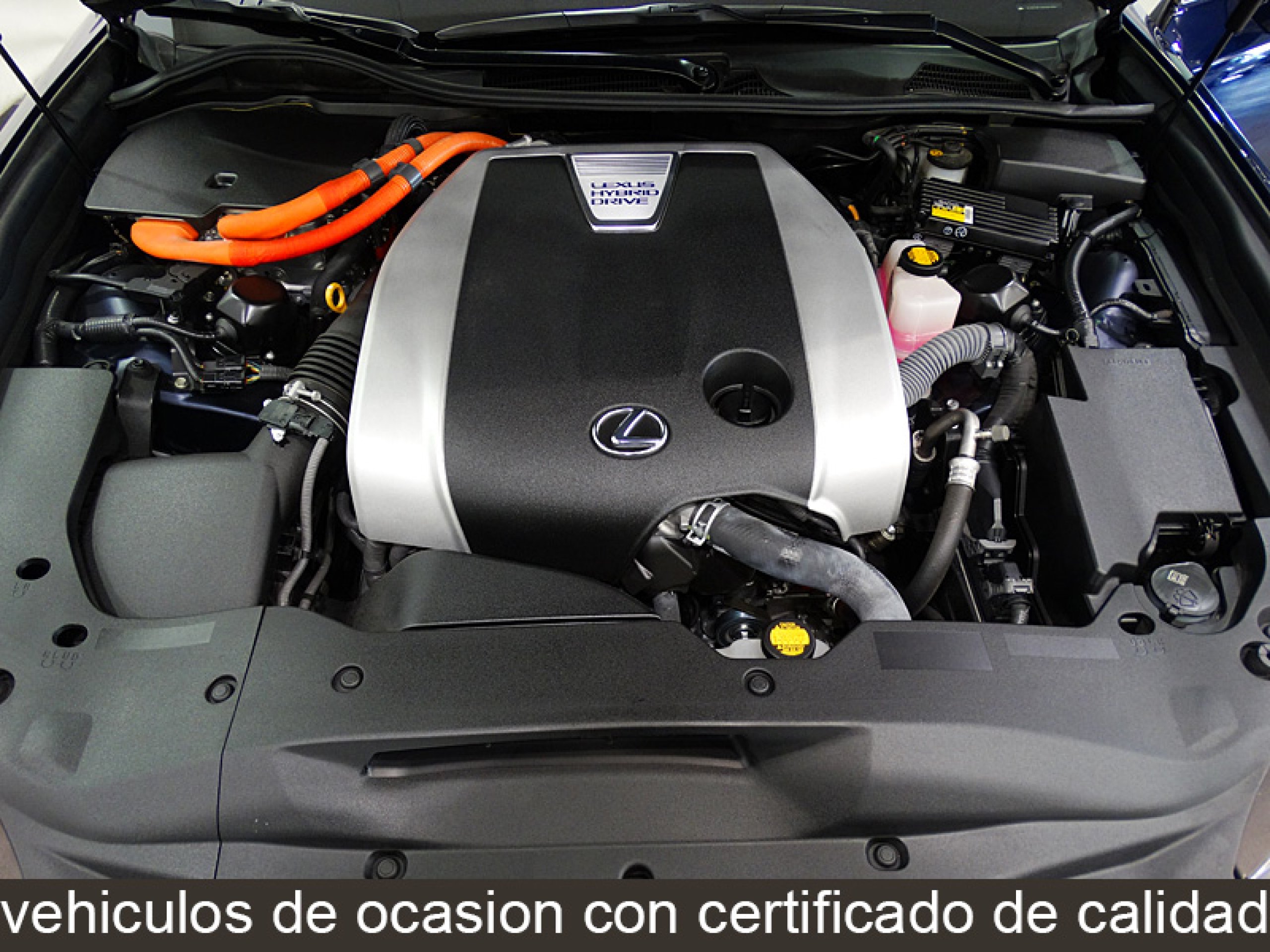 Foto Lexus GS 450h 11