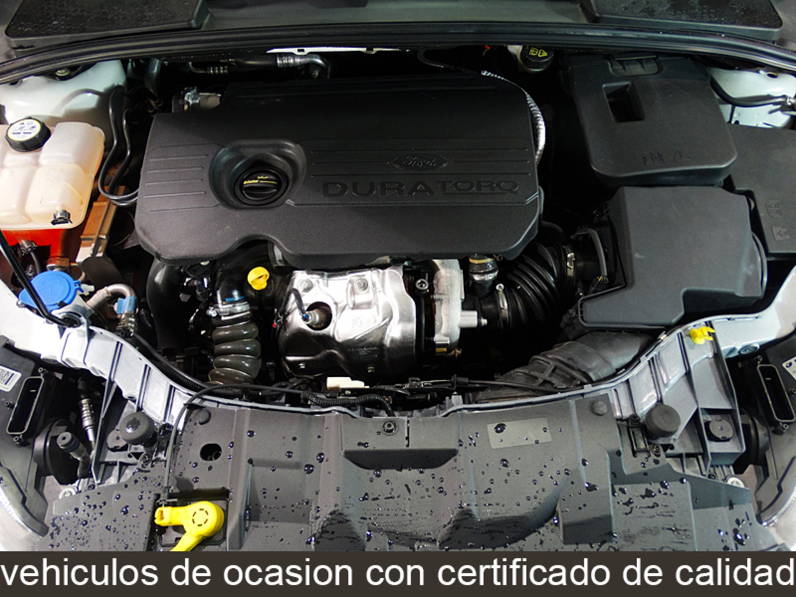 Foto Ford Focus 11