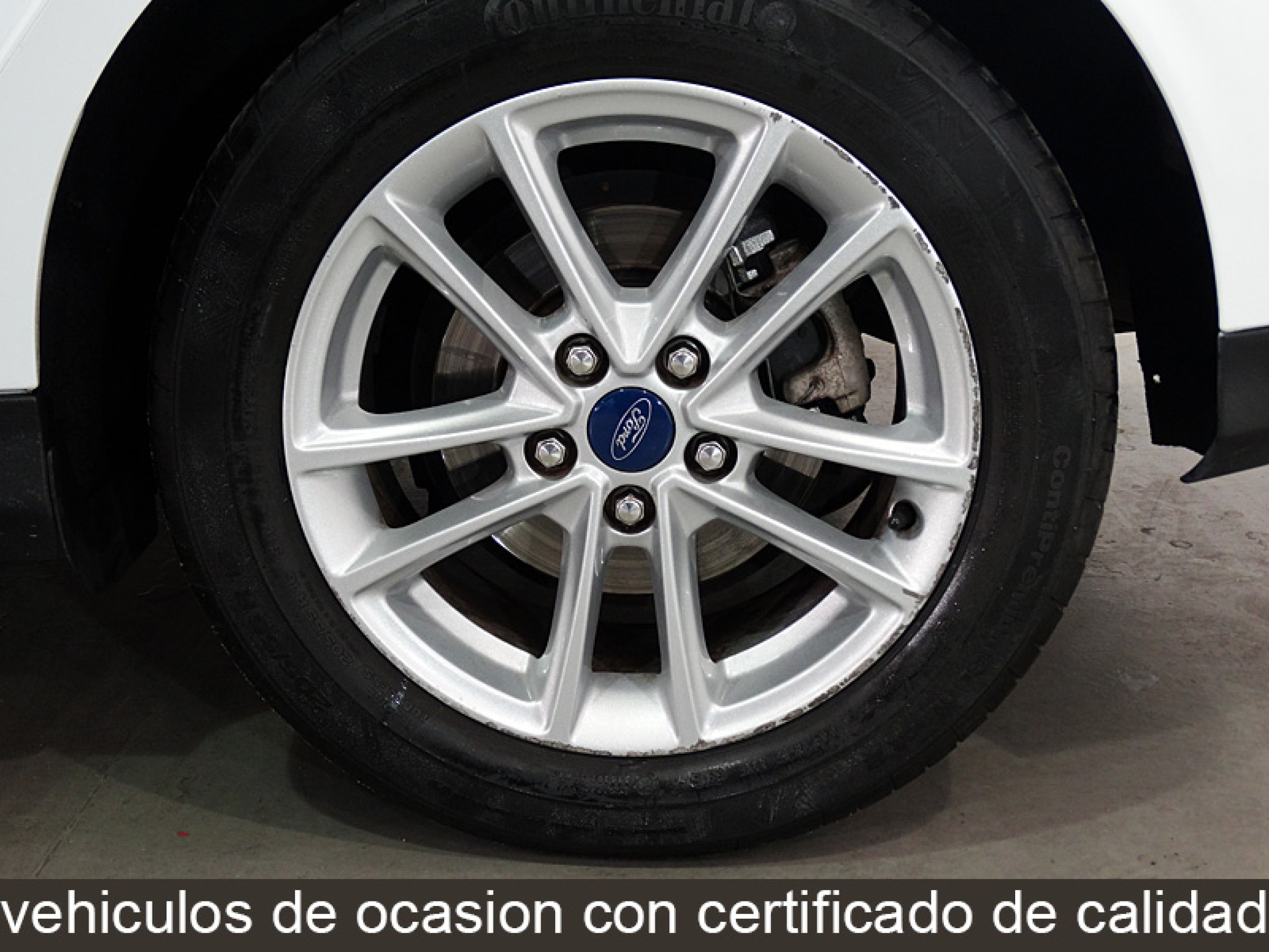 Foto Ford Focus 12