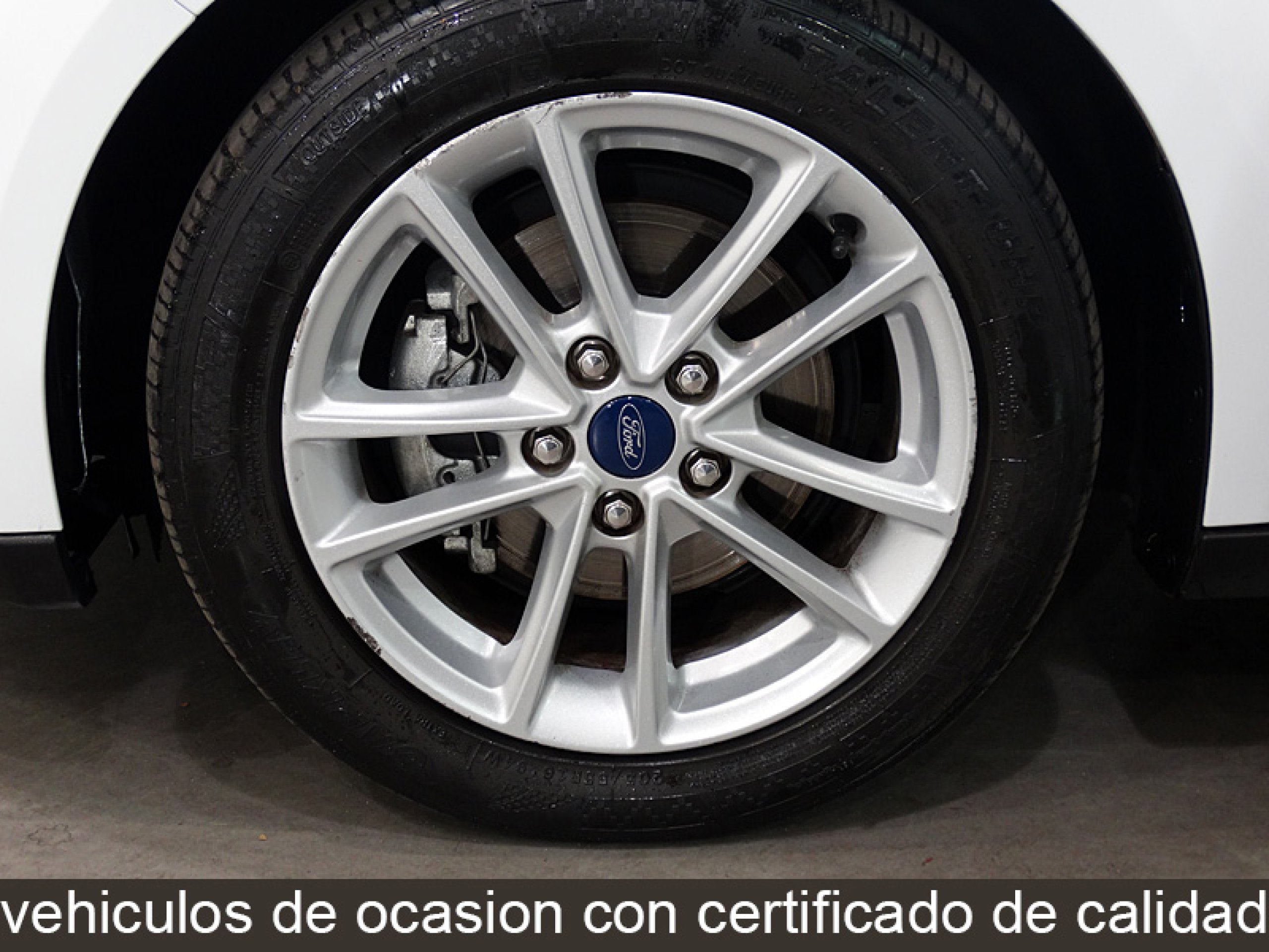 Foto Ford Focus 13
