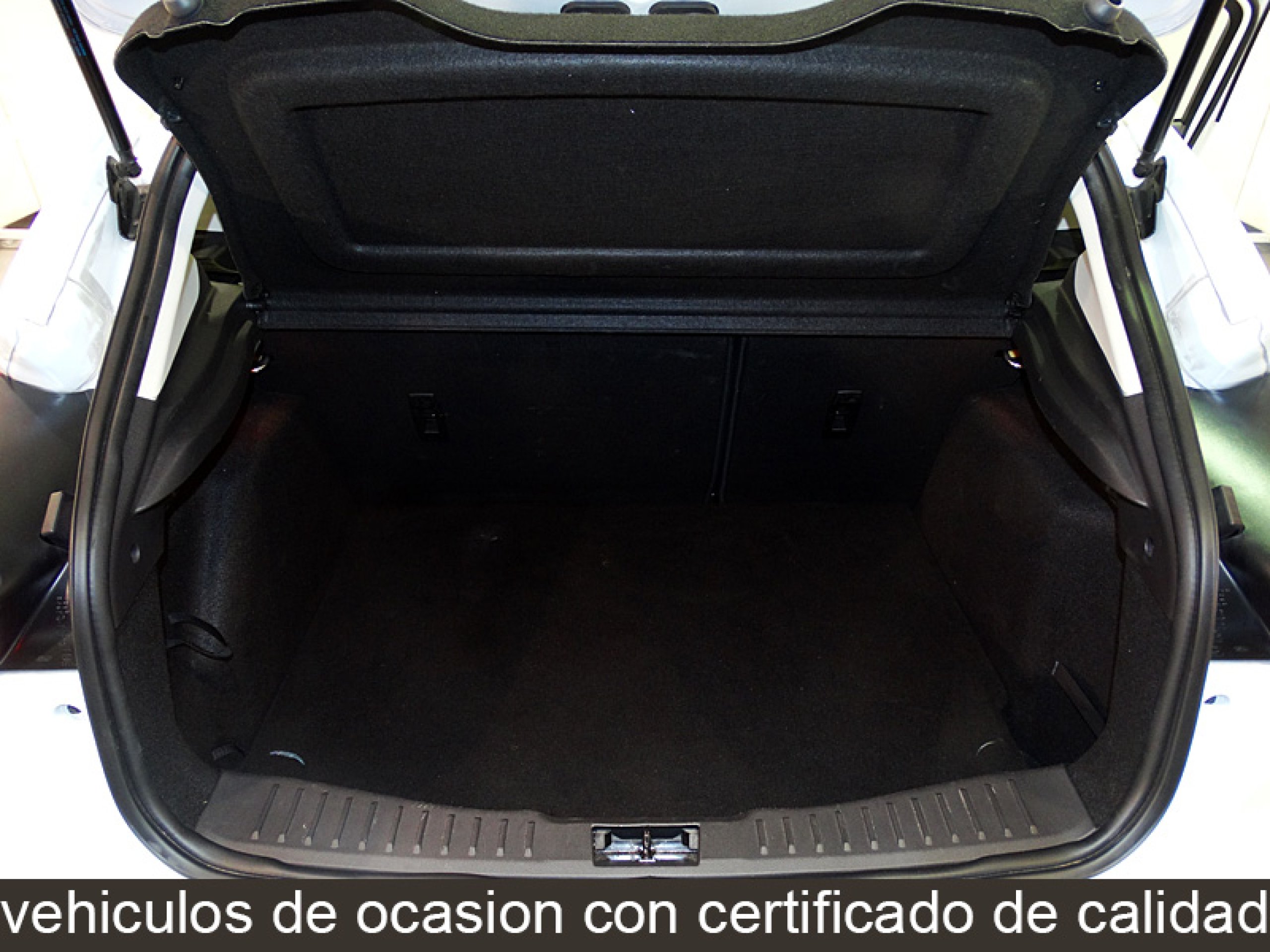 Foto Ford Focus 14
