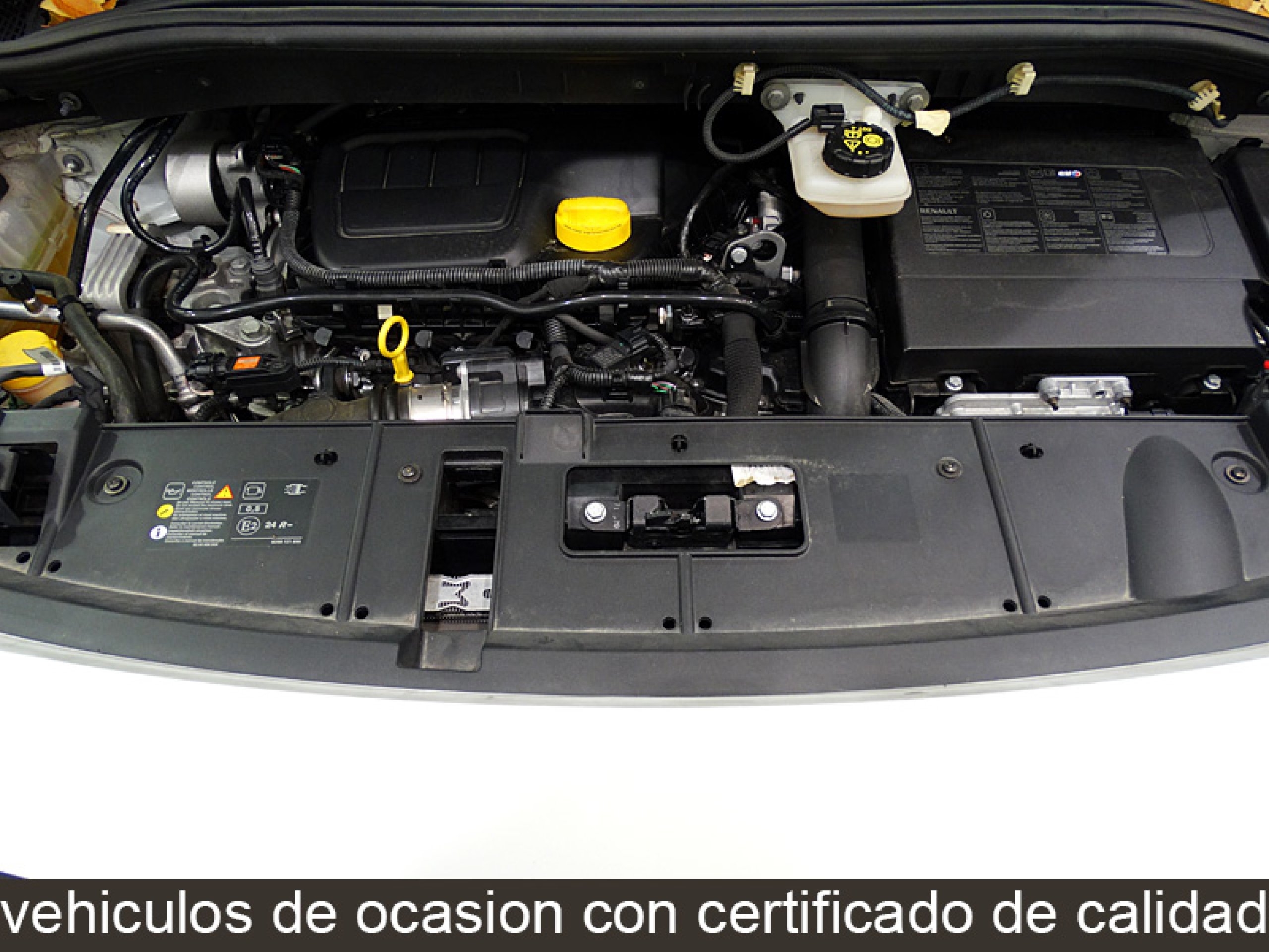 Foto Renault Grand Scenic 11