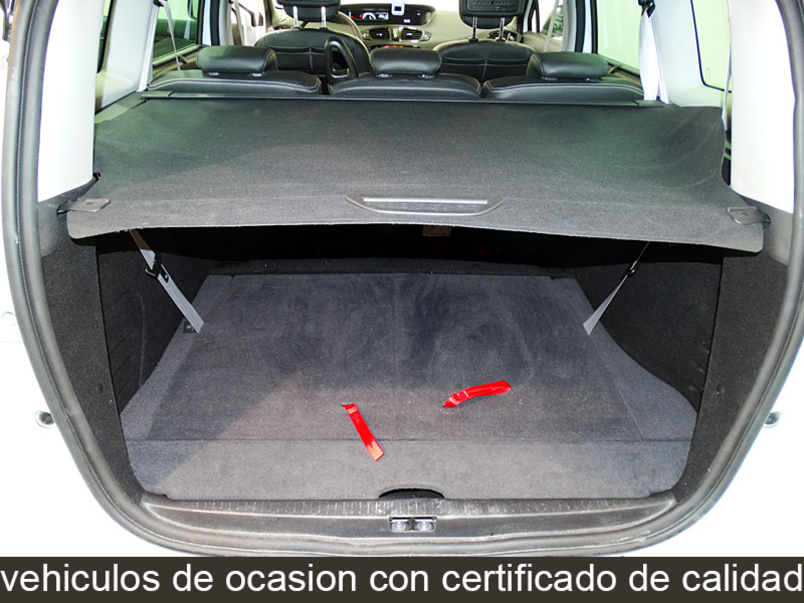 Foto Renault Grand Scenic 15