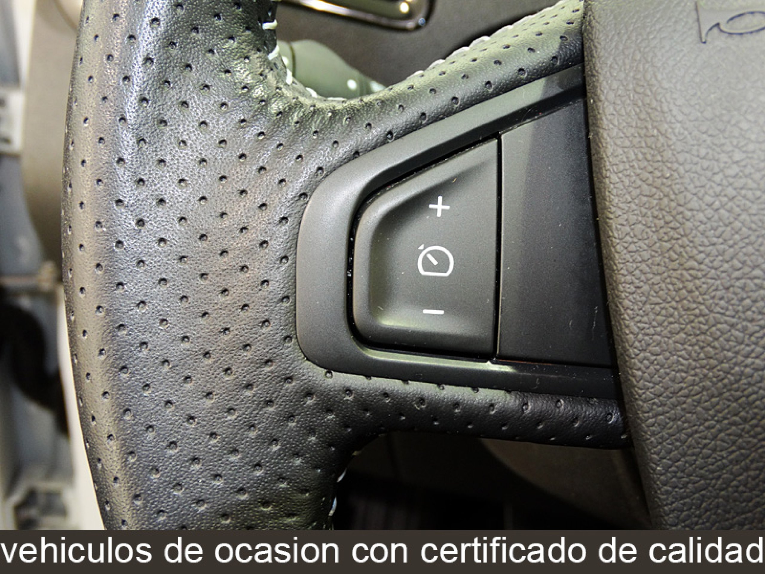 Foto Renault Grand Scenic 38
