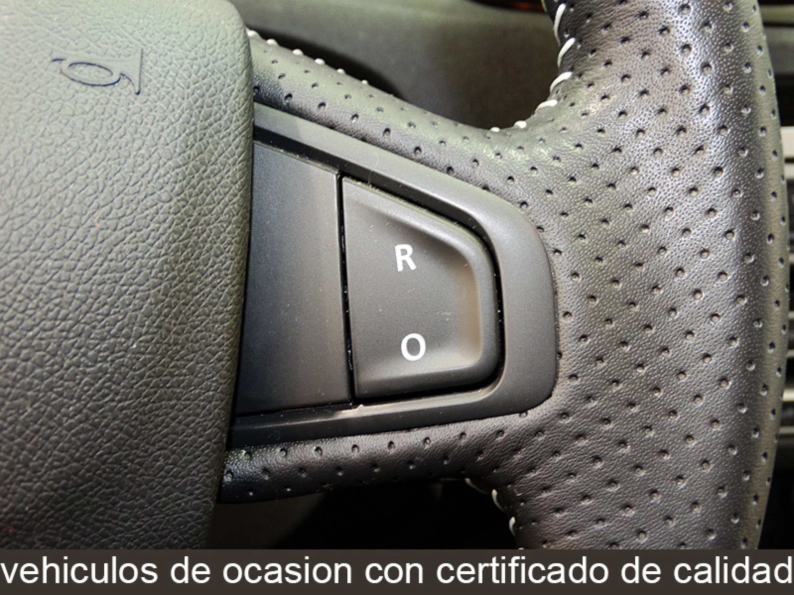 Foto Renault Grand Scenic 39