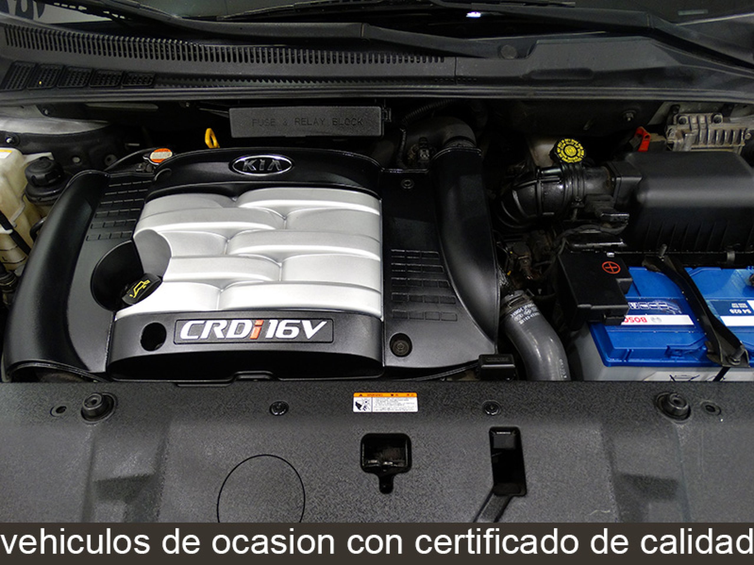 Foto Kia Carnival 15