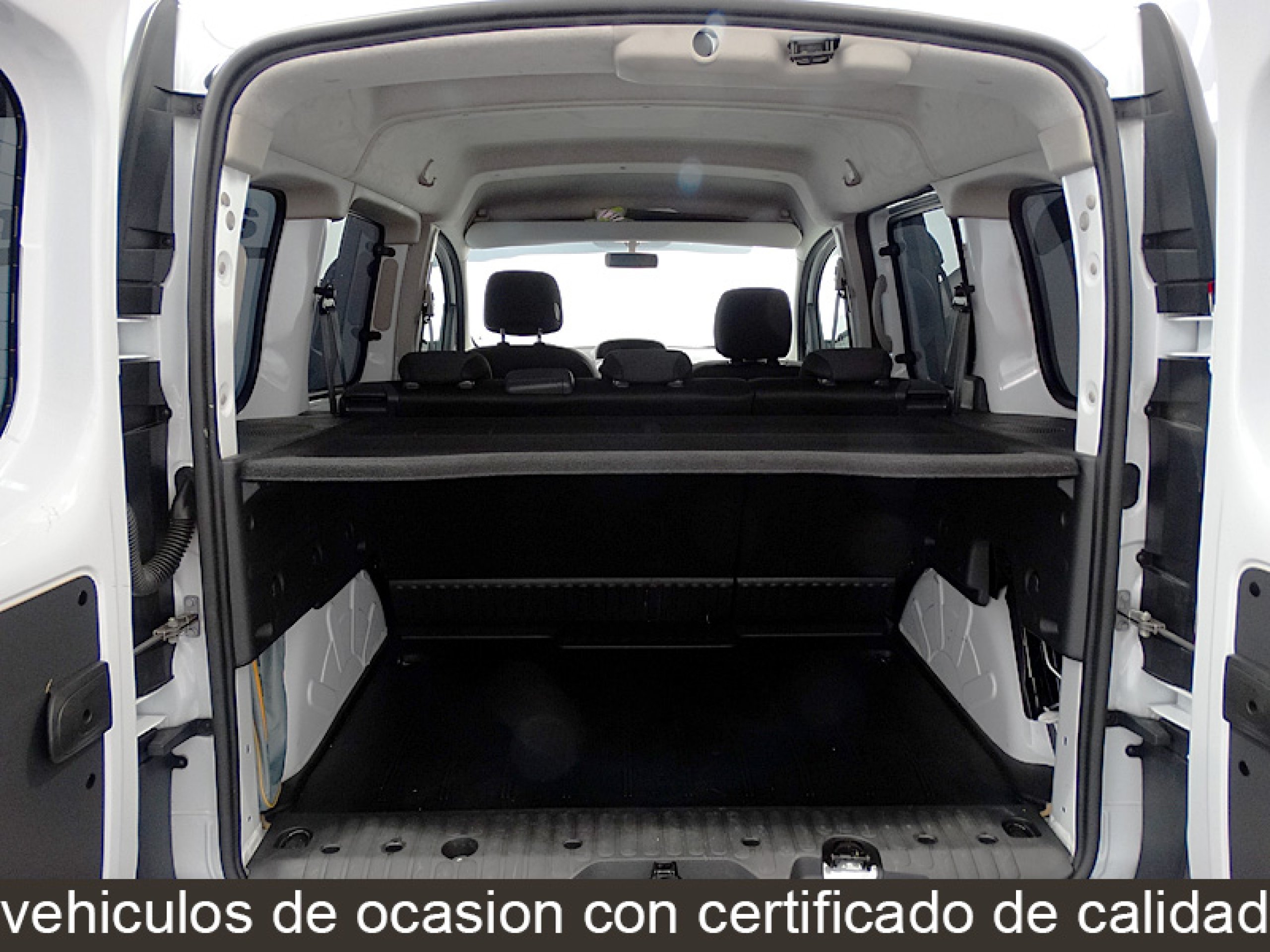 Foto Renault Kangoo 14