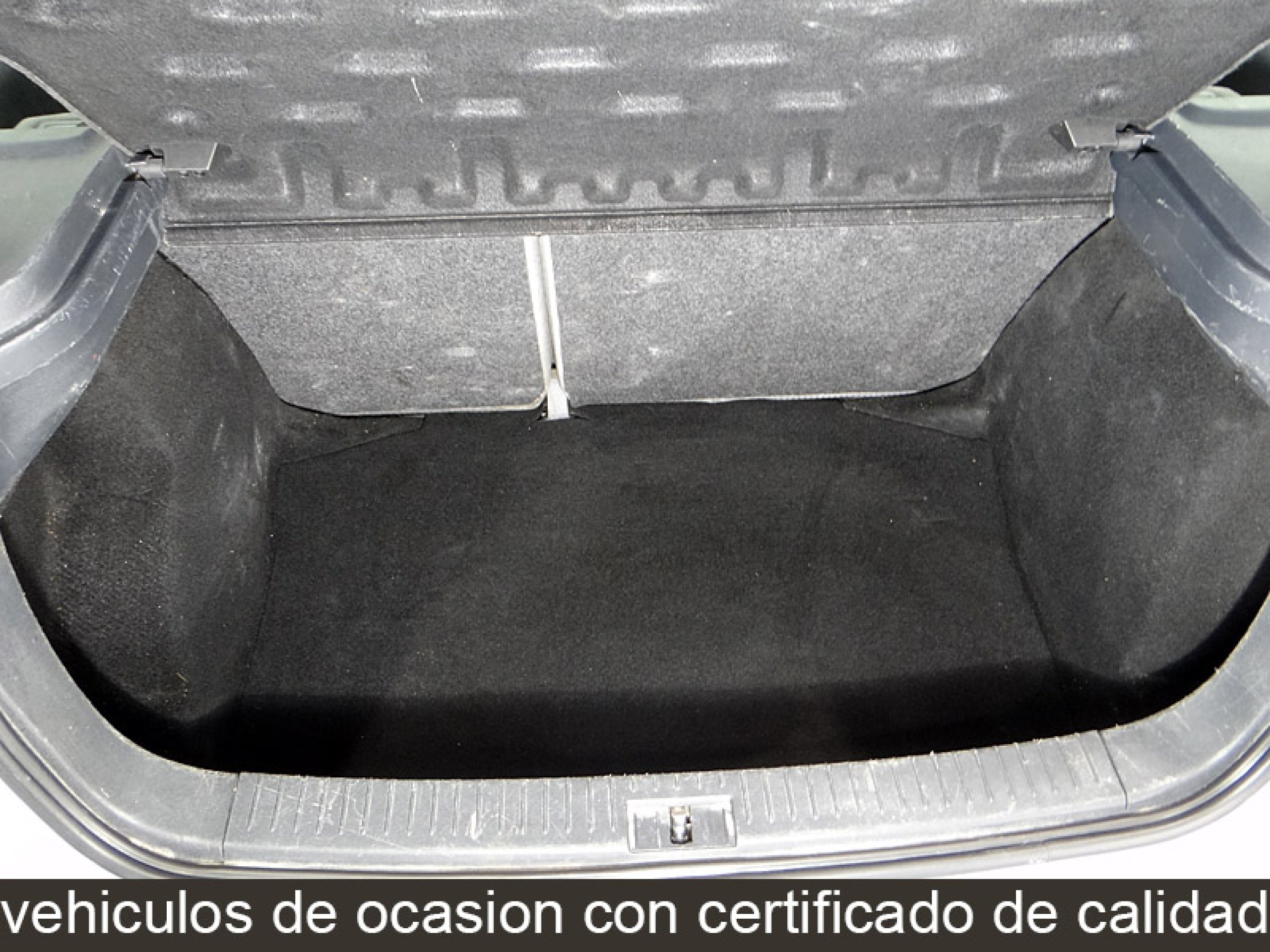 Foto Seat Ibiza 13