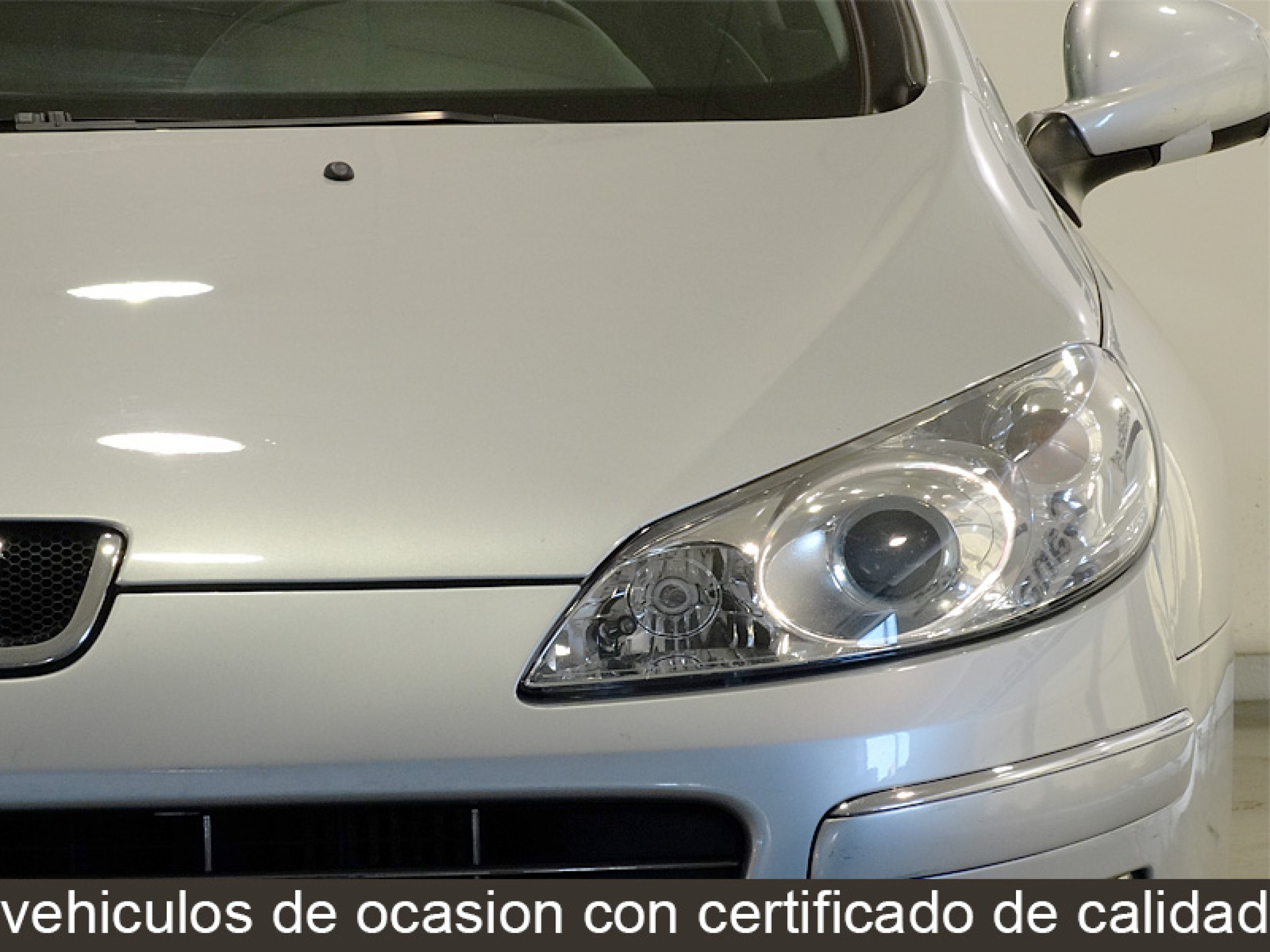 Foto Peugeot 407 12