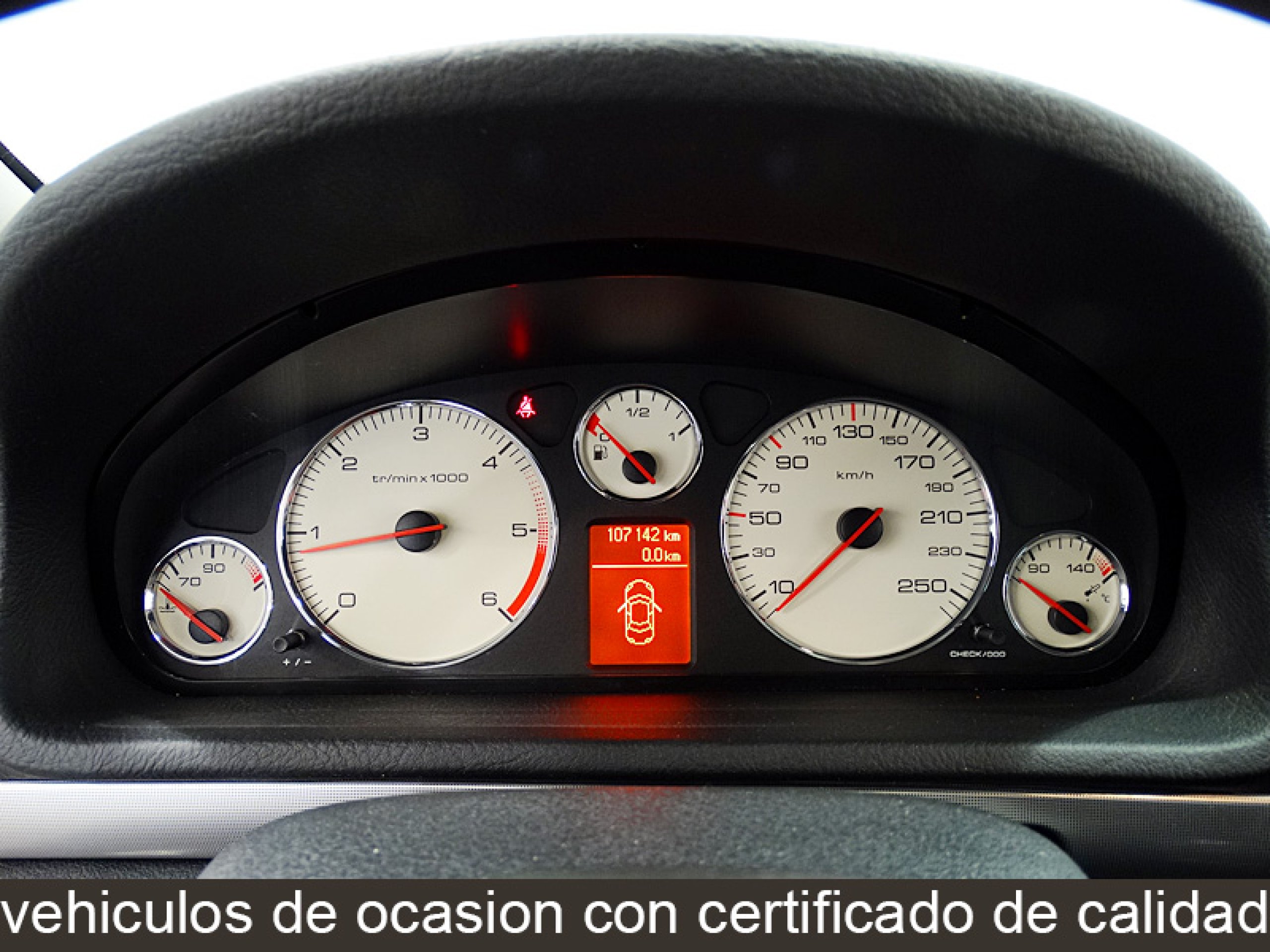 Foto Peugeot 407 29