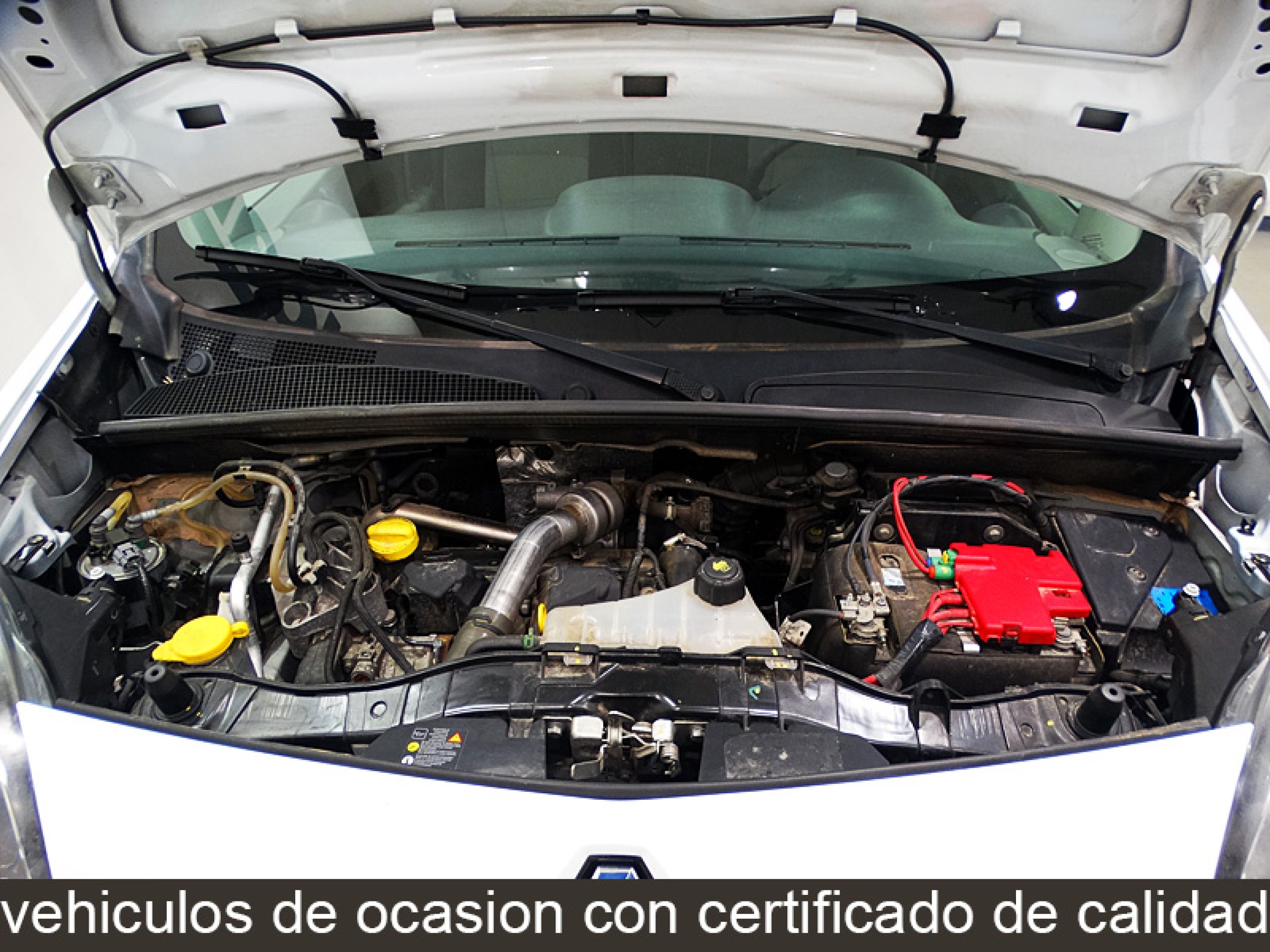 Foto Renault Kangoo 14