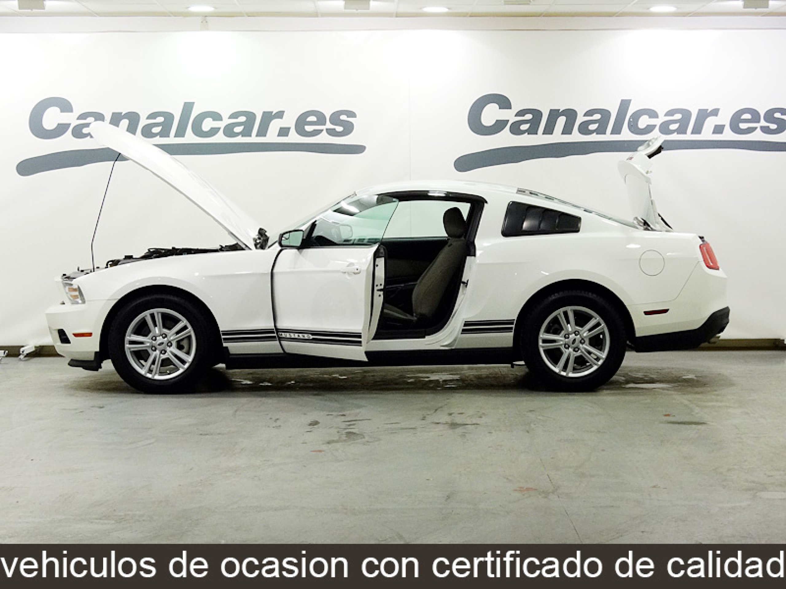 Foto Ford Mustang 10
