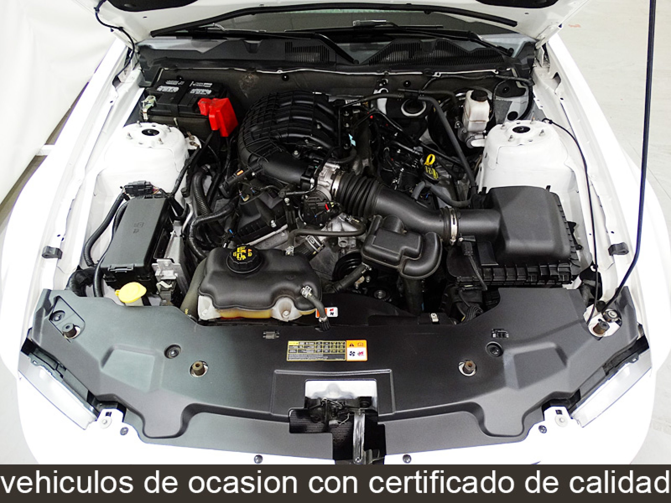 Foto Ford Mustang 15