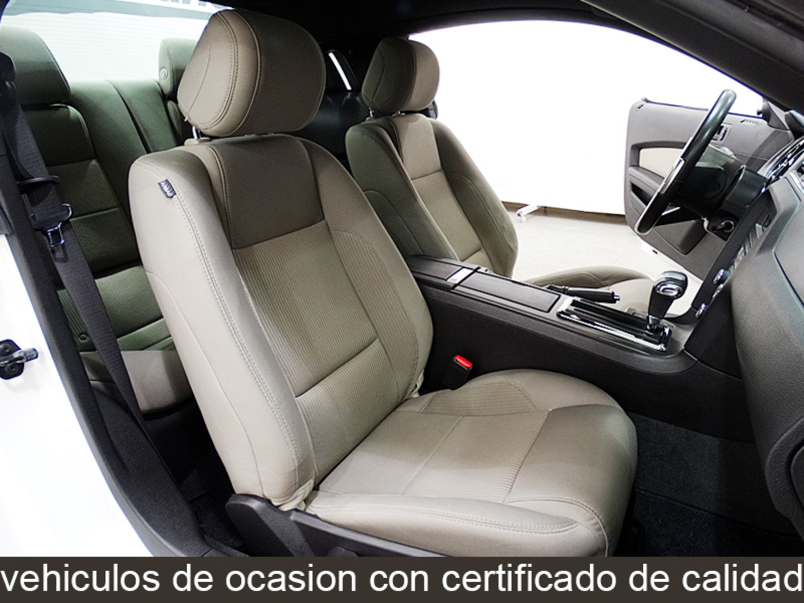 Foto Ford Mustang 19