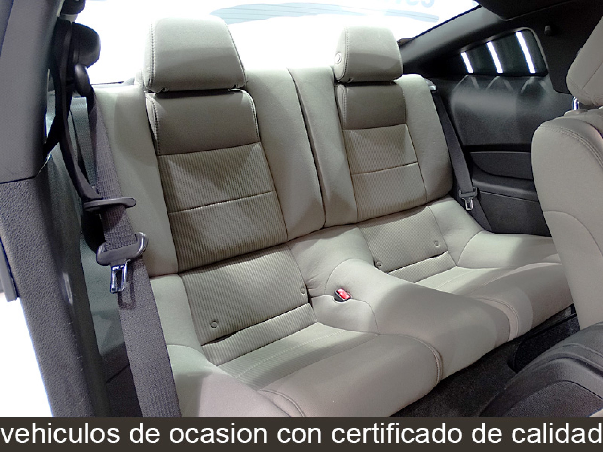 Foto Ford Mustang 20