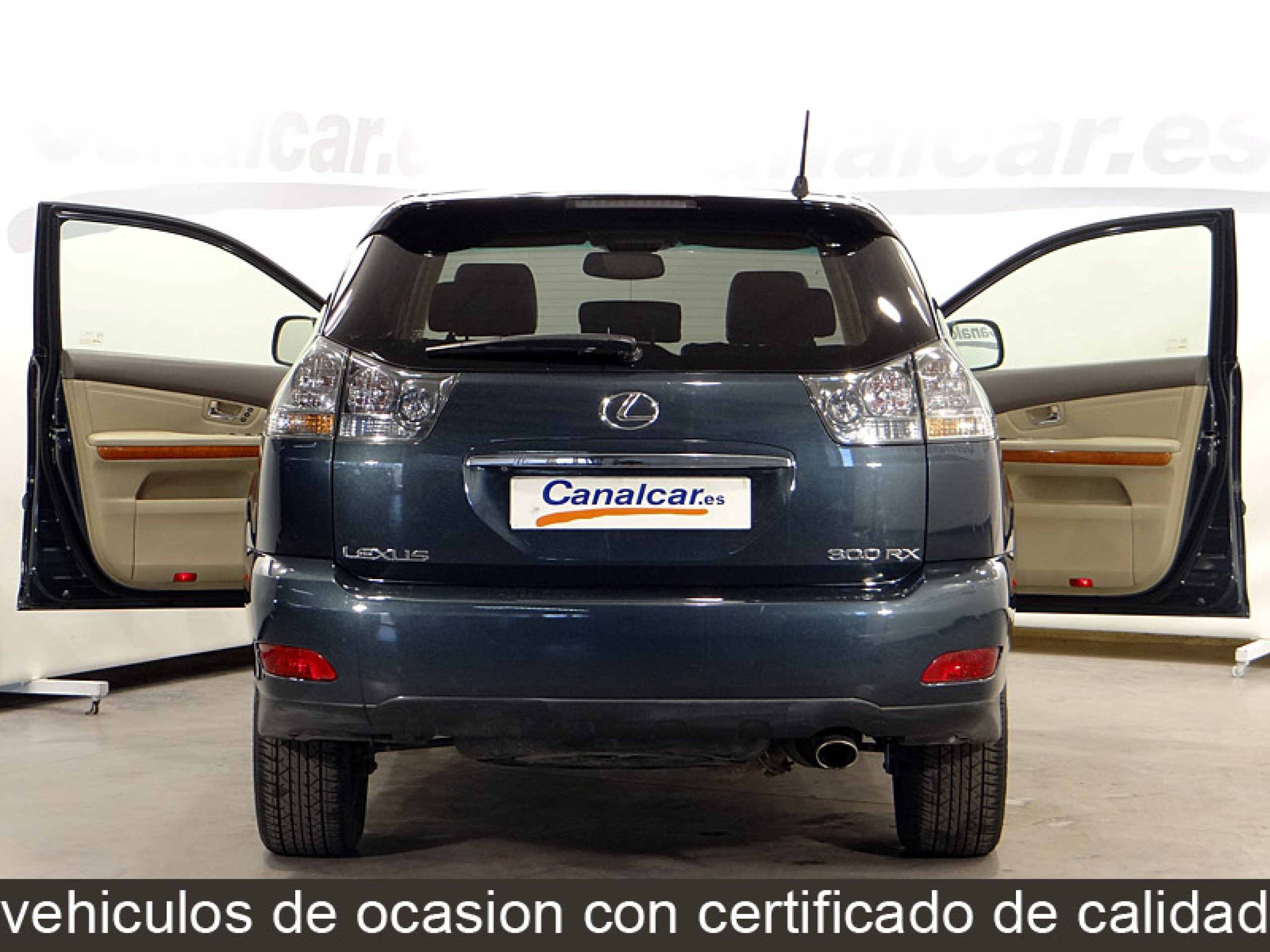 Foto Lexus RX 300 8