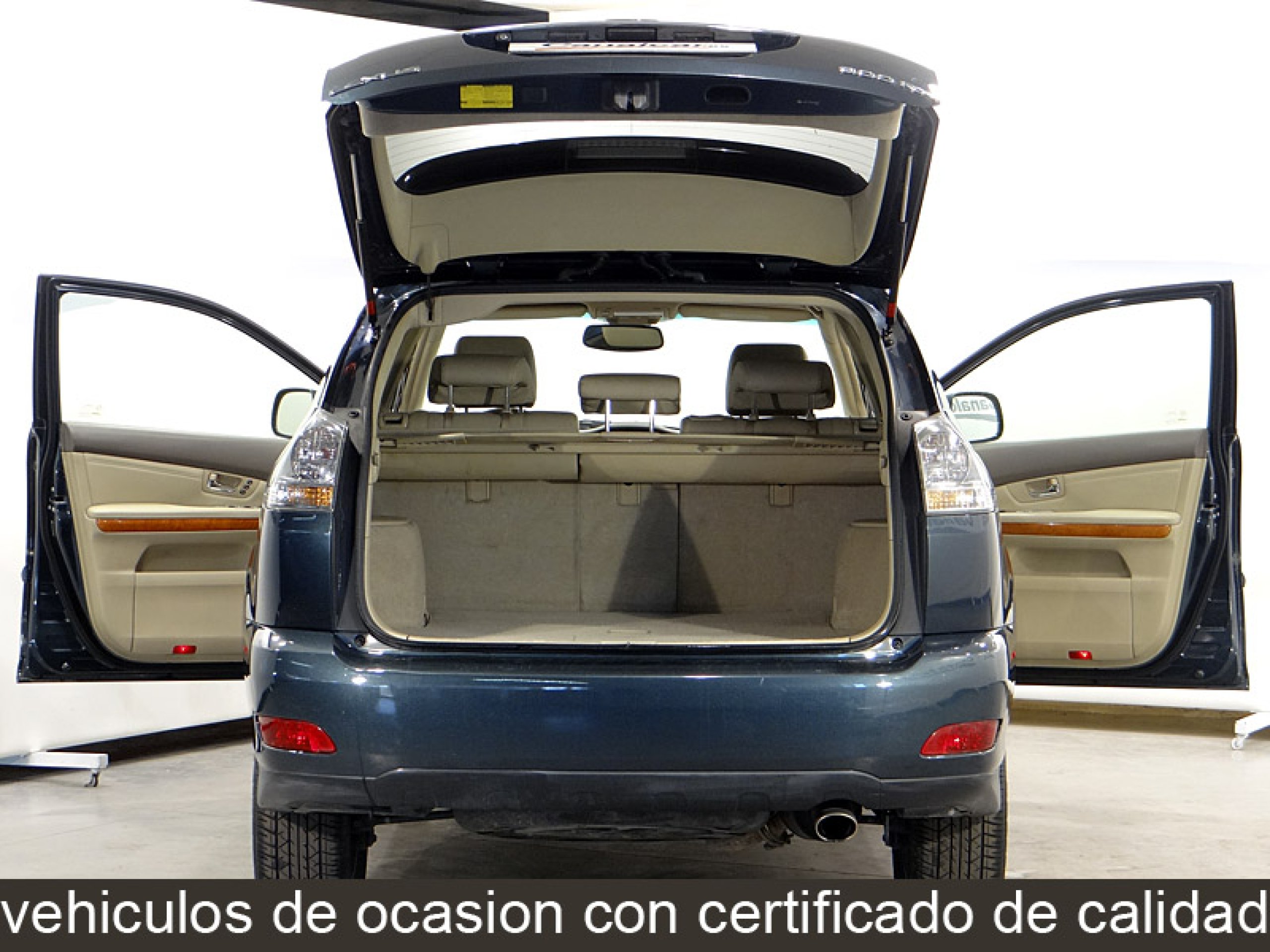 Foto Lexus RX 300 9