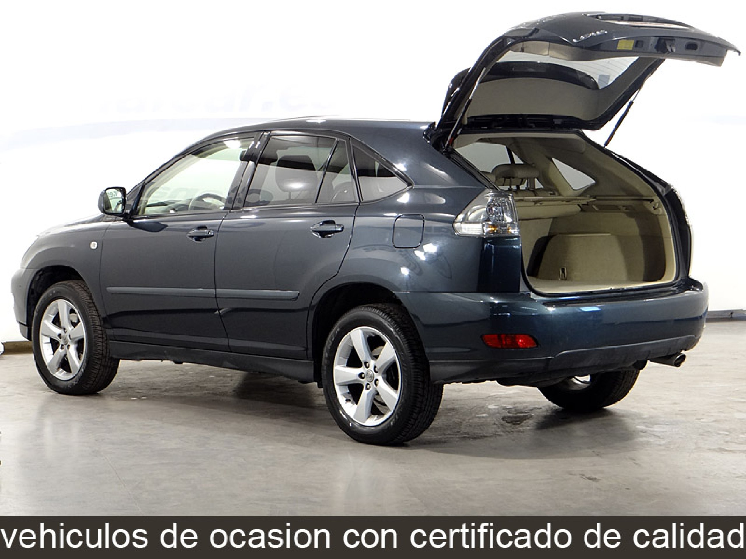Foto Lexus RX 300 10