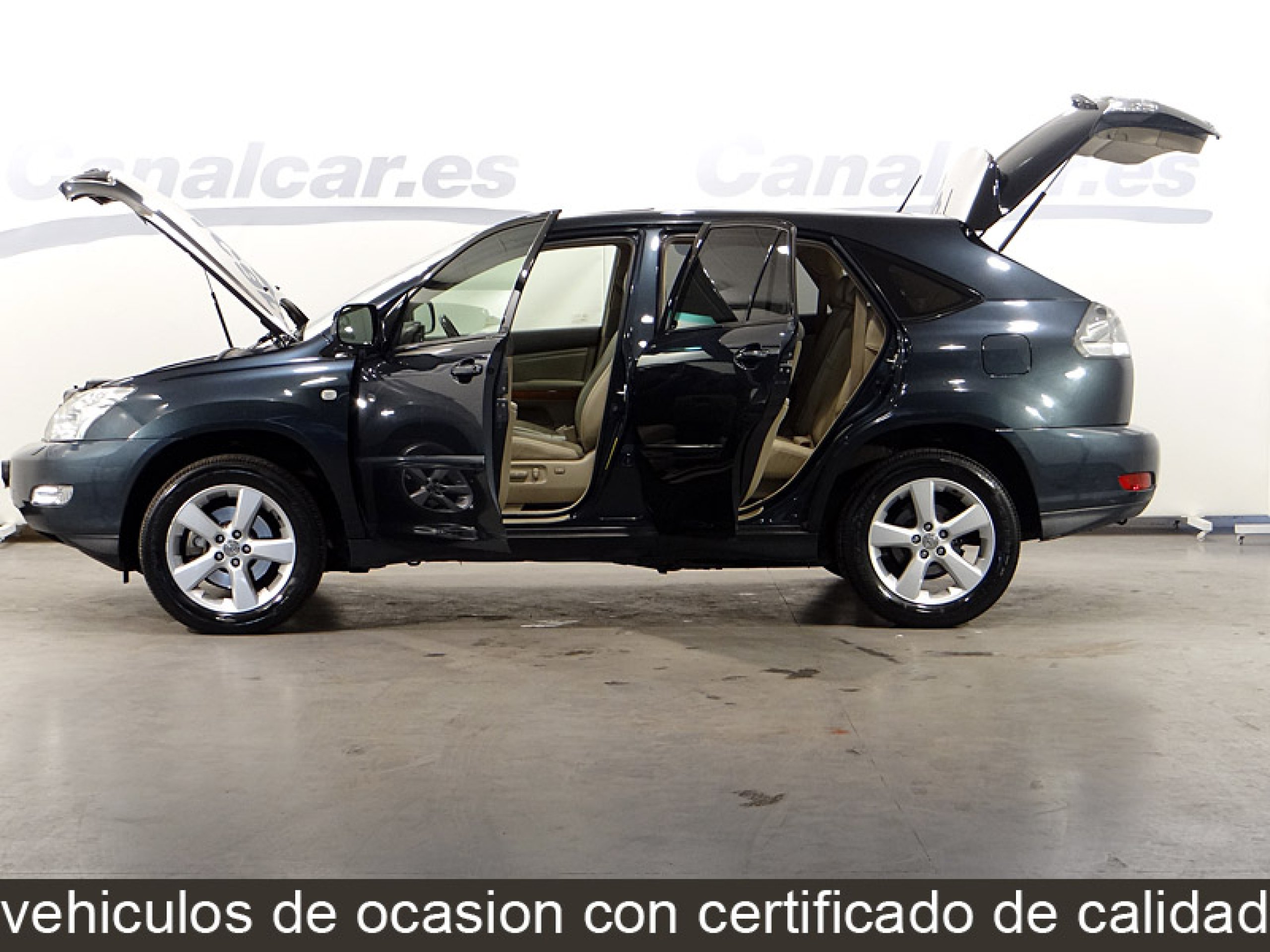 Foto Lexus RX 300 13