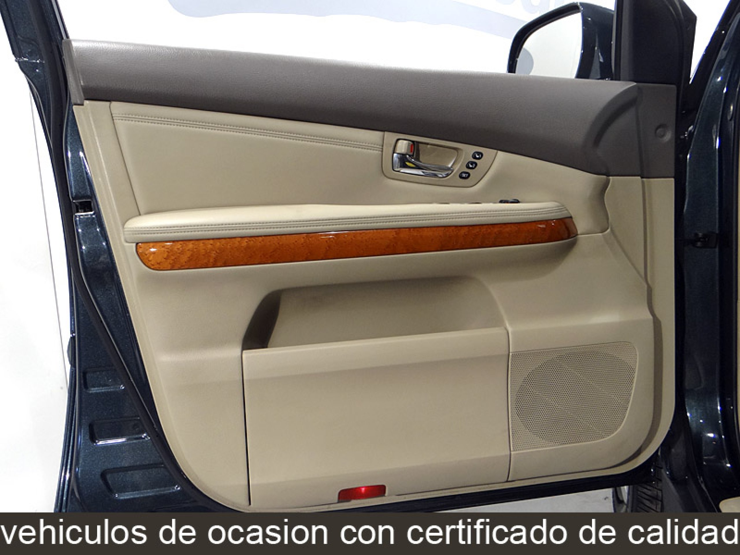 Foto Lexus RX 300 28