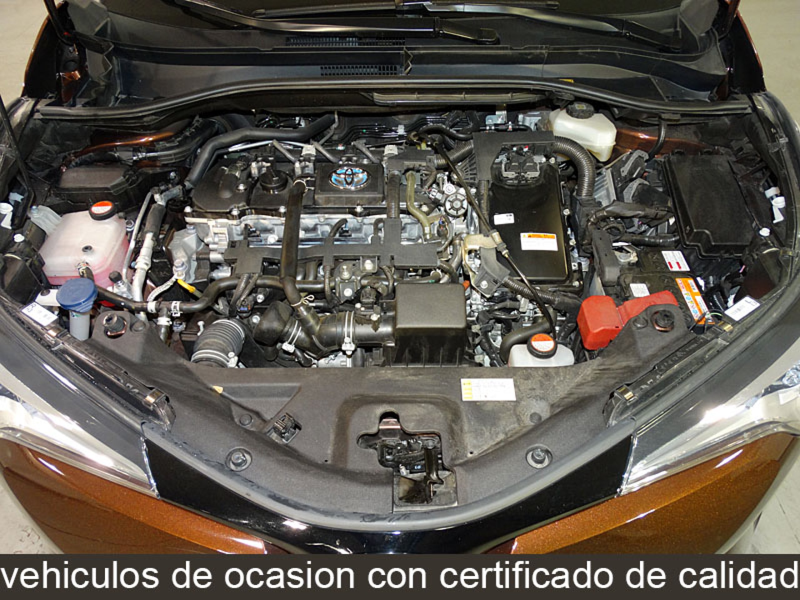 Foto Toyota C-HR 8