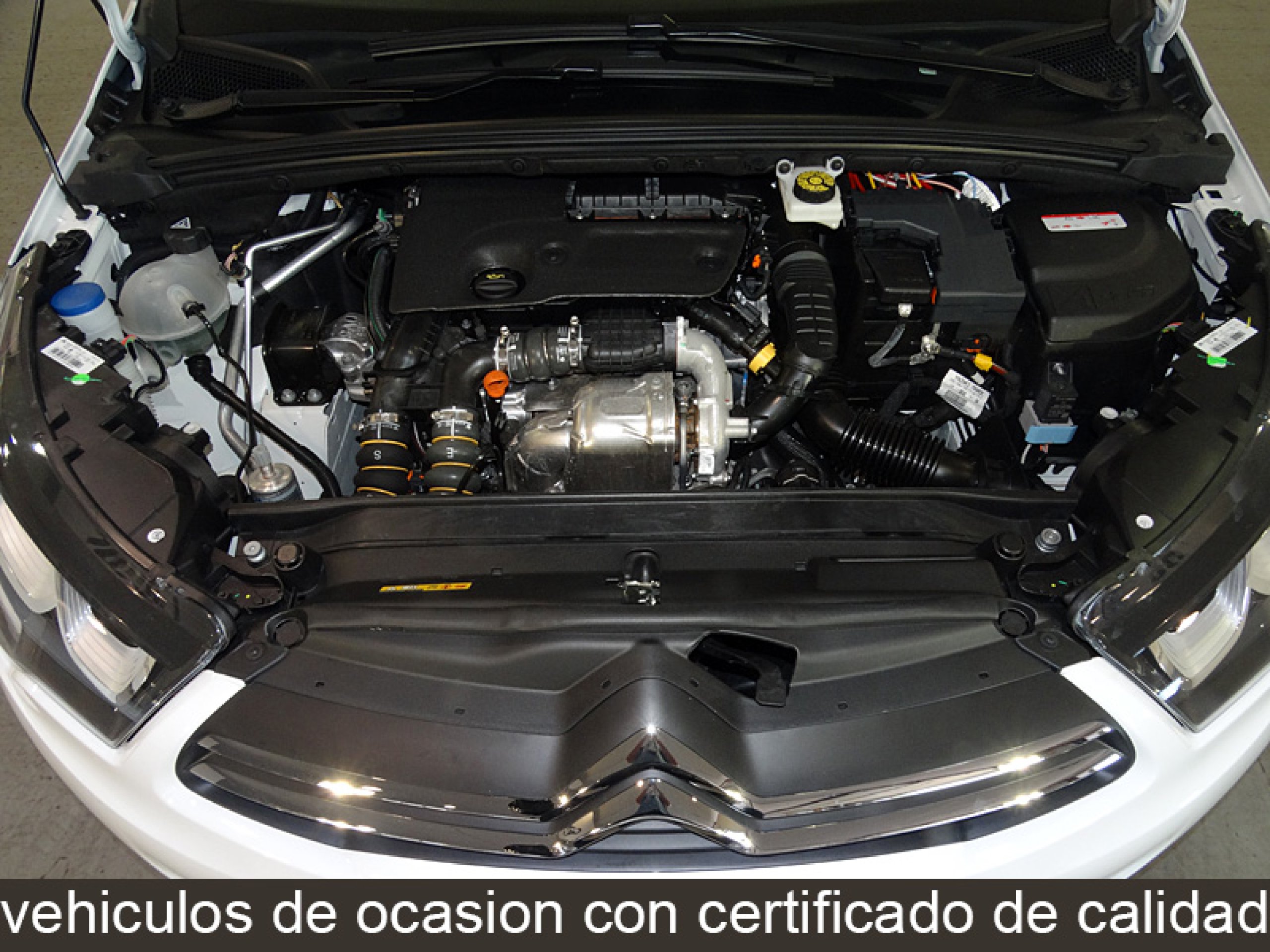 Foto Citroen C4 9